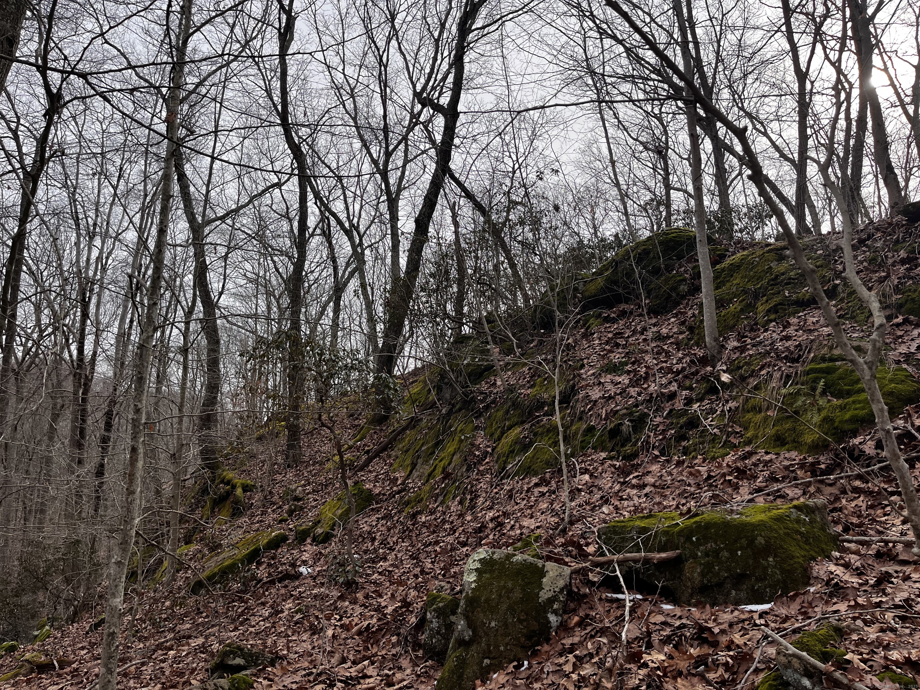 43-2 Saunders Hollow Road, Old Lyme, Connecticut image 4