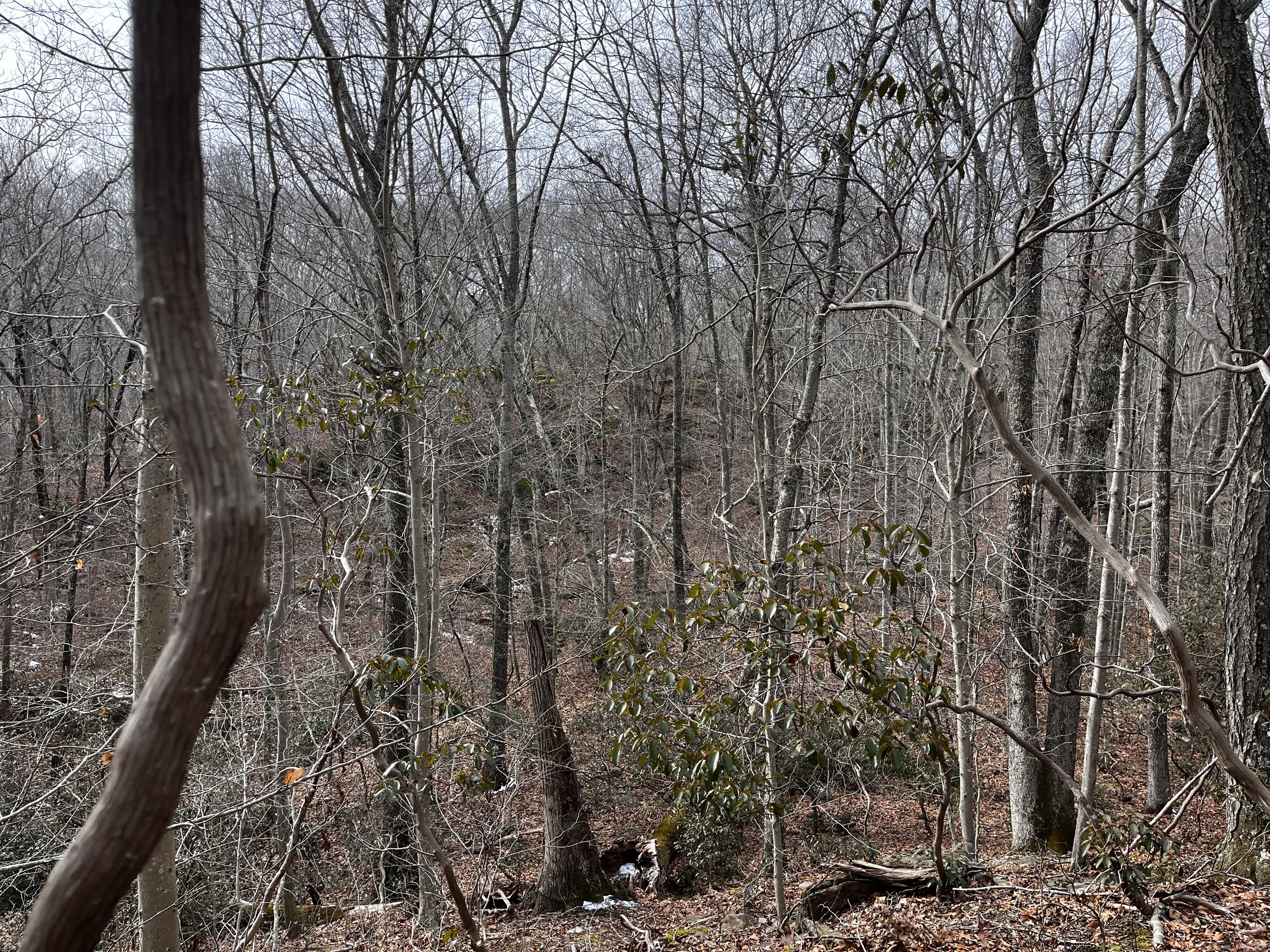 43-2 Saunders Hollow Road, Old Lyme, Connecticut image 3