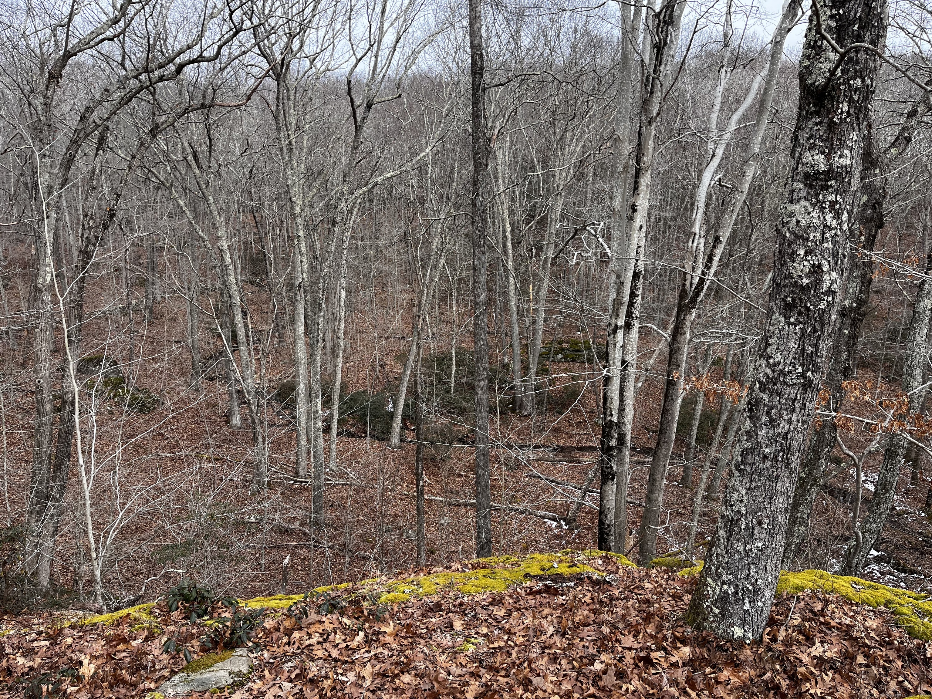43-2 Saunders Hollow Road, Old Lyme, Connecticut image 5