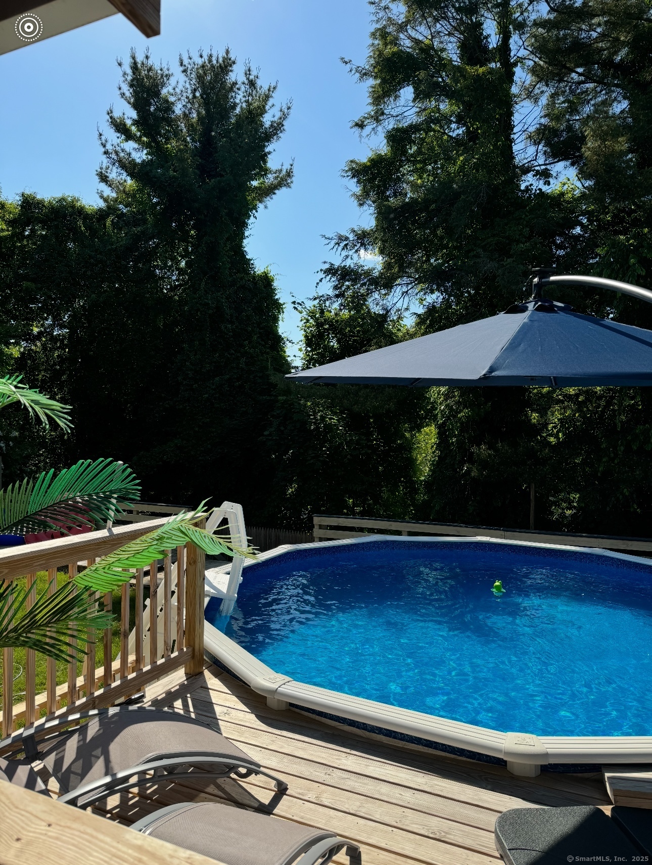34 Norwood Road, New Haven, Connecticut image 36