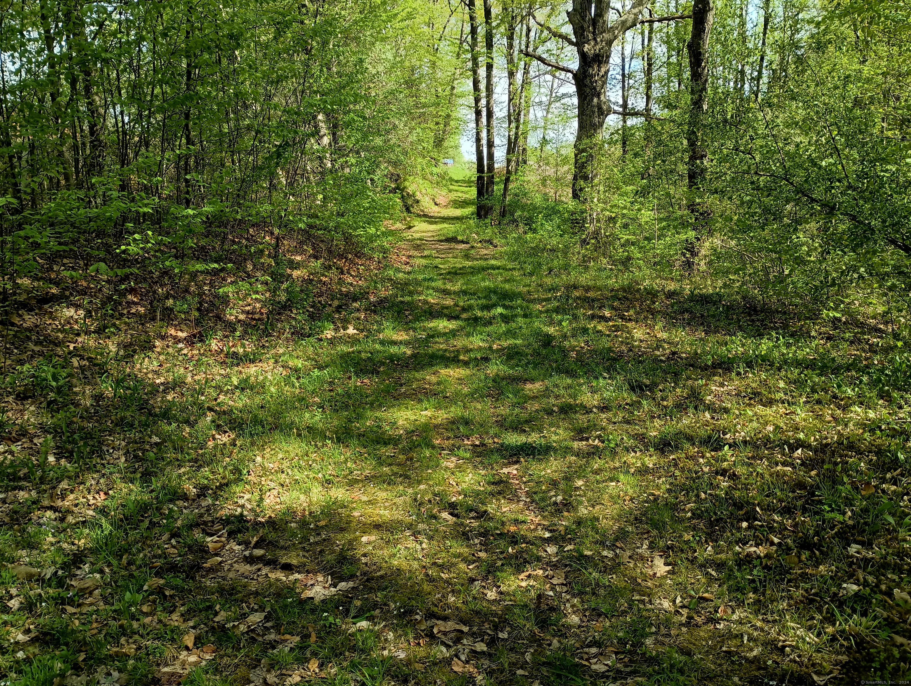 Litchfield Road, Watertown, Connecticut image 4