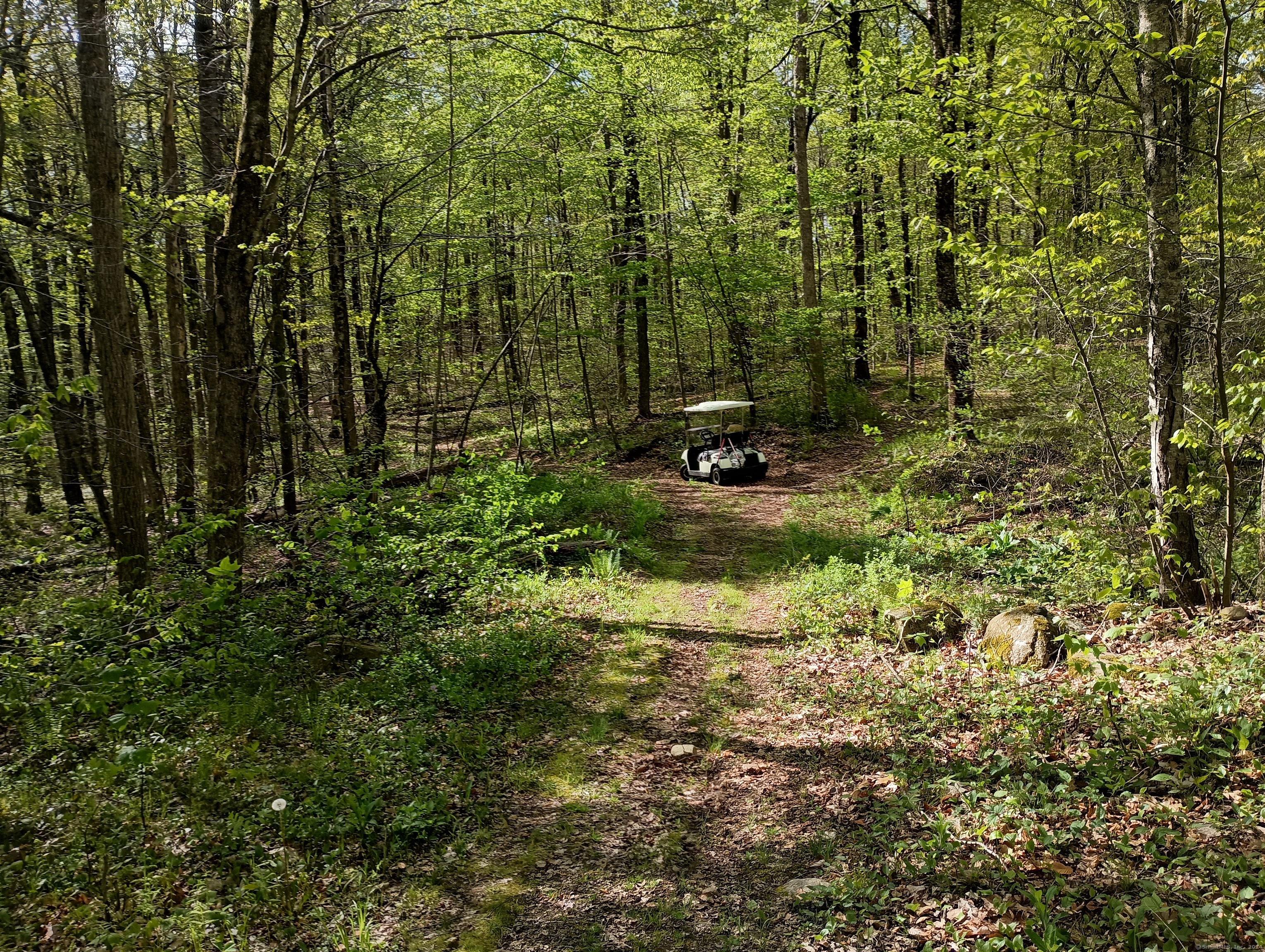 Litchfield Road, Watertown, Connecticut image 3