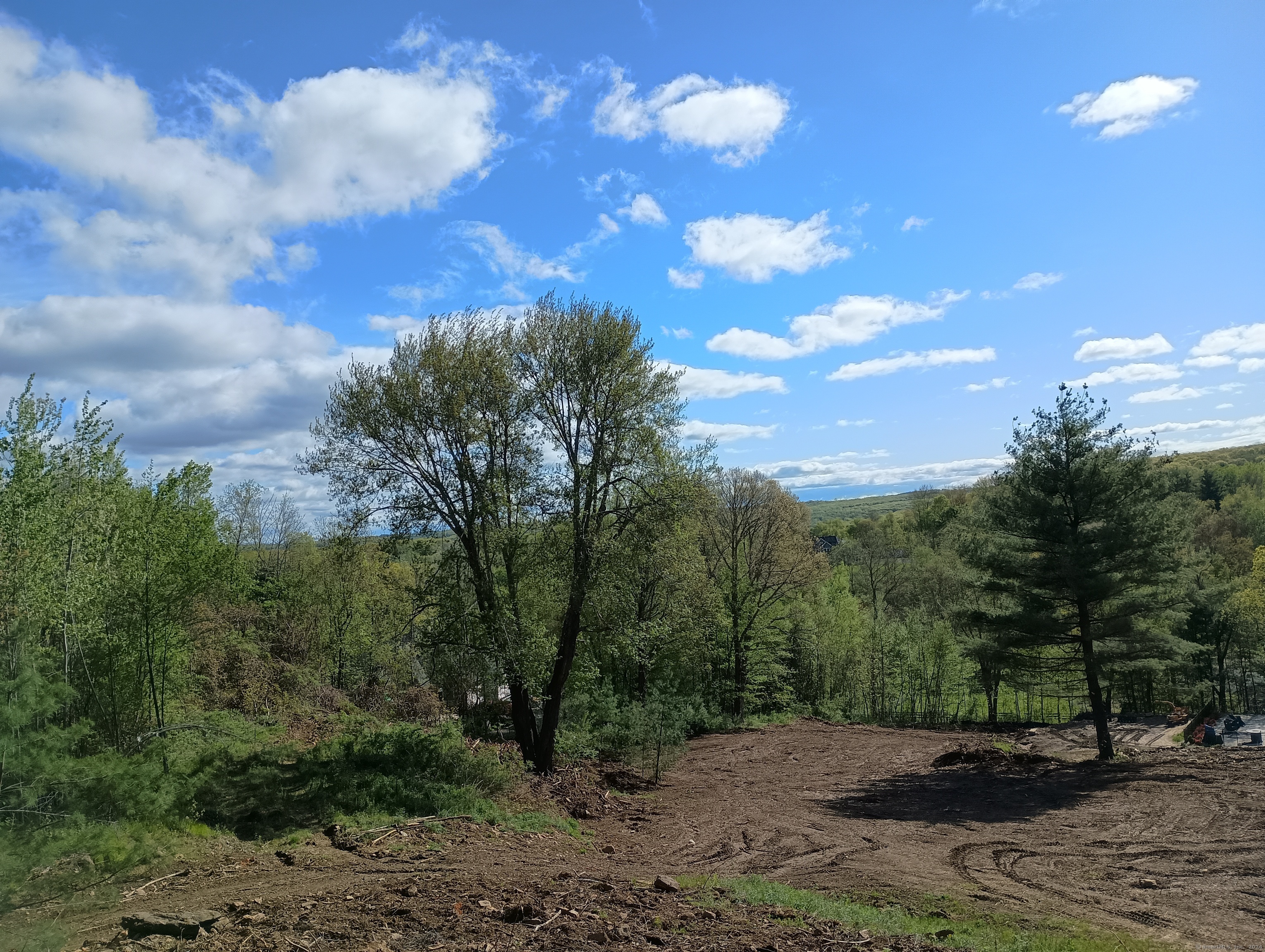 Litchfield Road, Watertown, Connecticut image 21