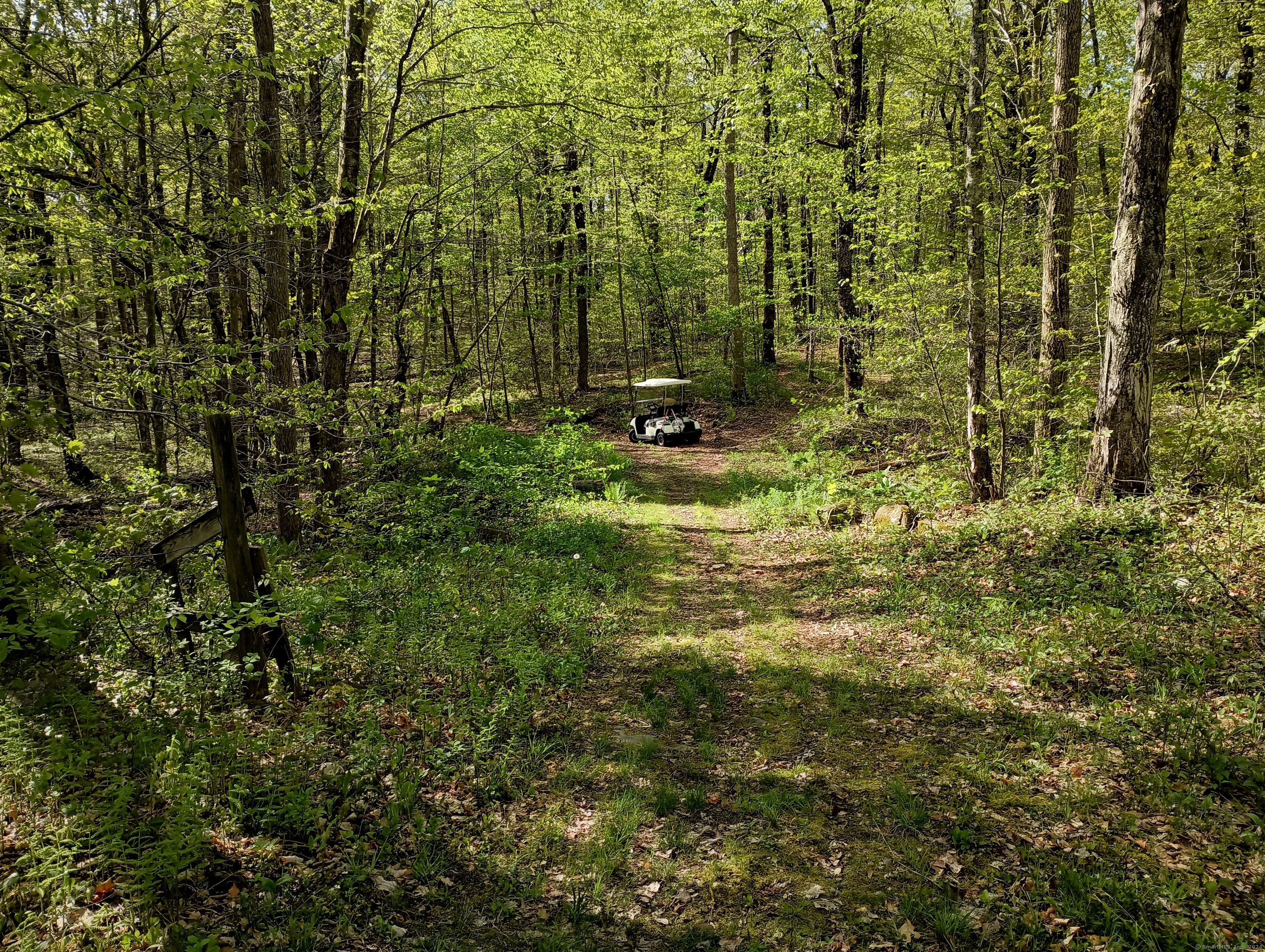 Litchfield Road, Watertown, Connecticut image 5
