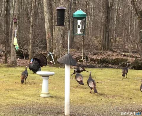 Tiny photo for 18 Quail Road, Colchester, CT 06415 (MLS # 24161343)