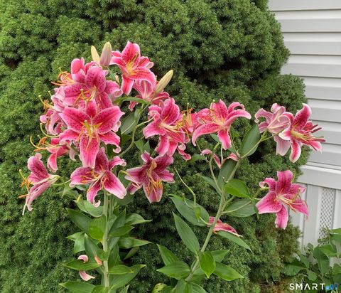 Tiny photo for 18 Quail Road, Colchester, CT 06415 (MLS # 24161343)