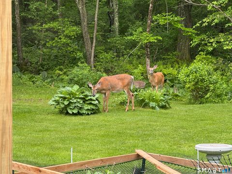 Tiny photo for 18 Quail Road, Colchester, CT 06415 (MLS # 24161343)