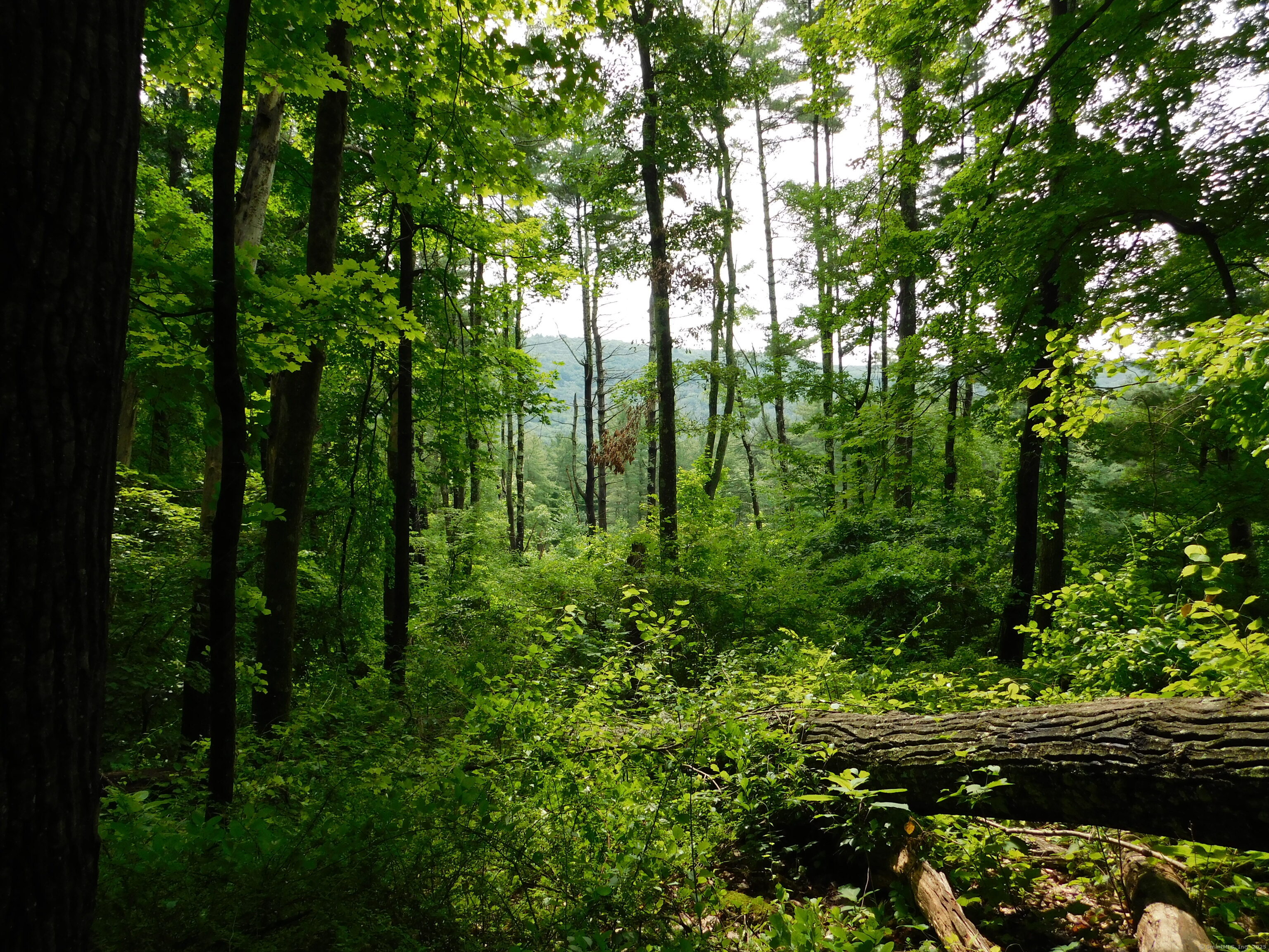 163 White Hollow Road