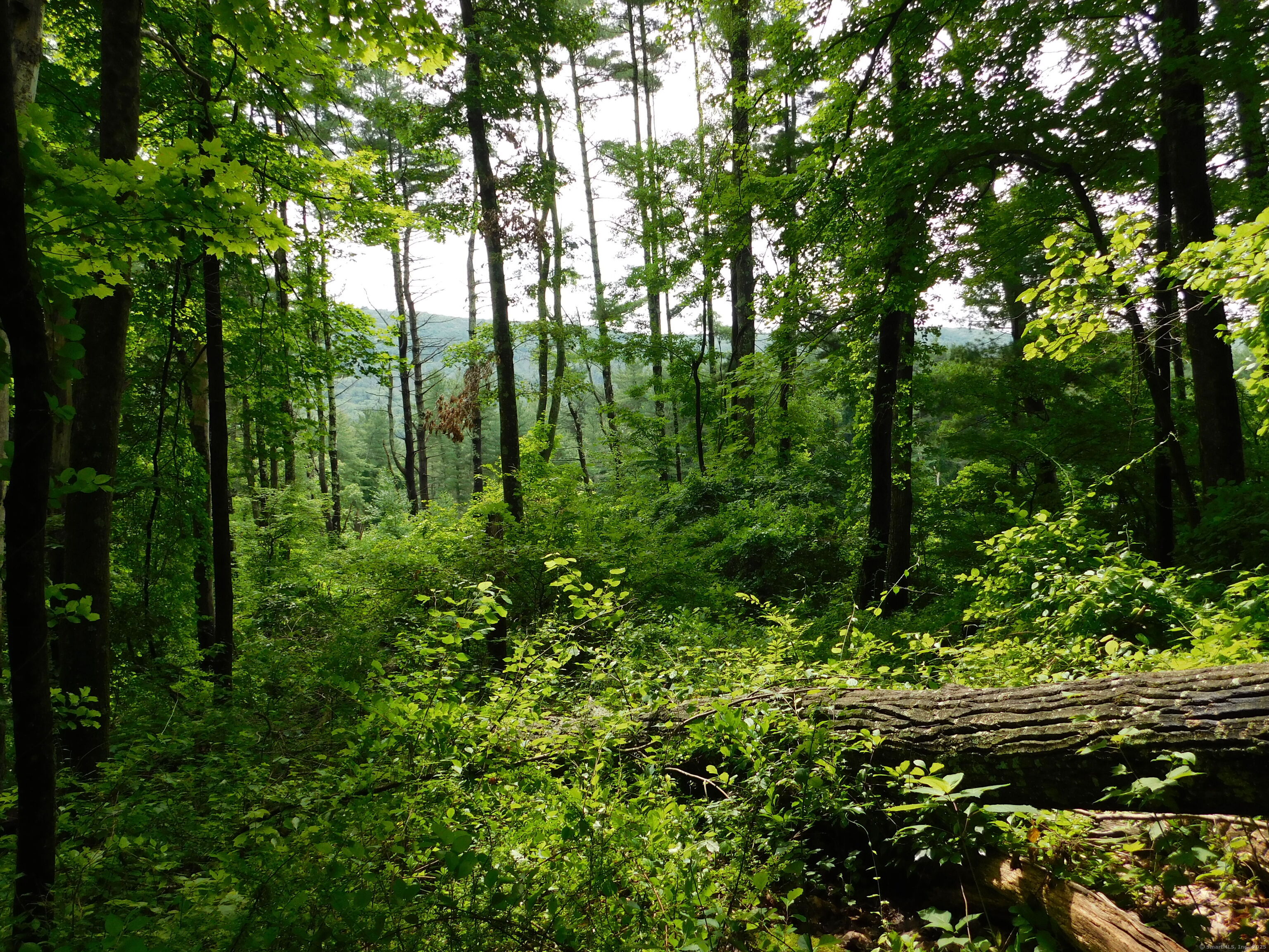 163 White Hollow Road