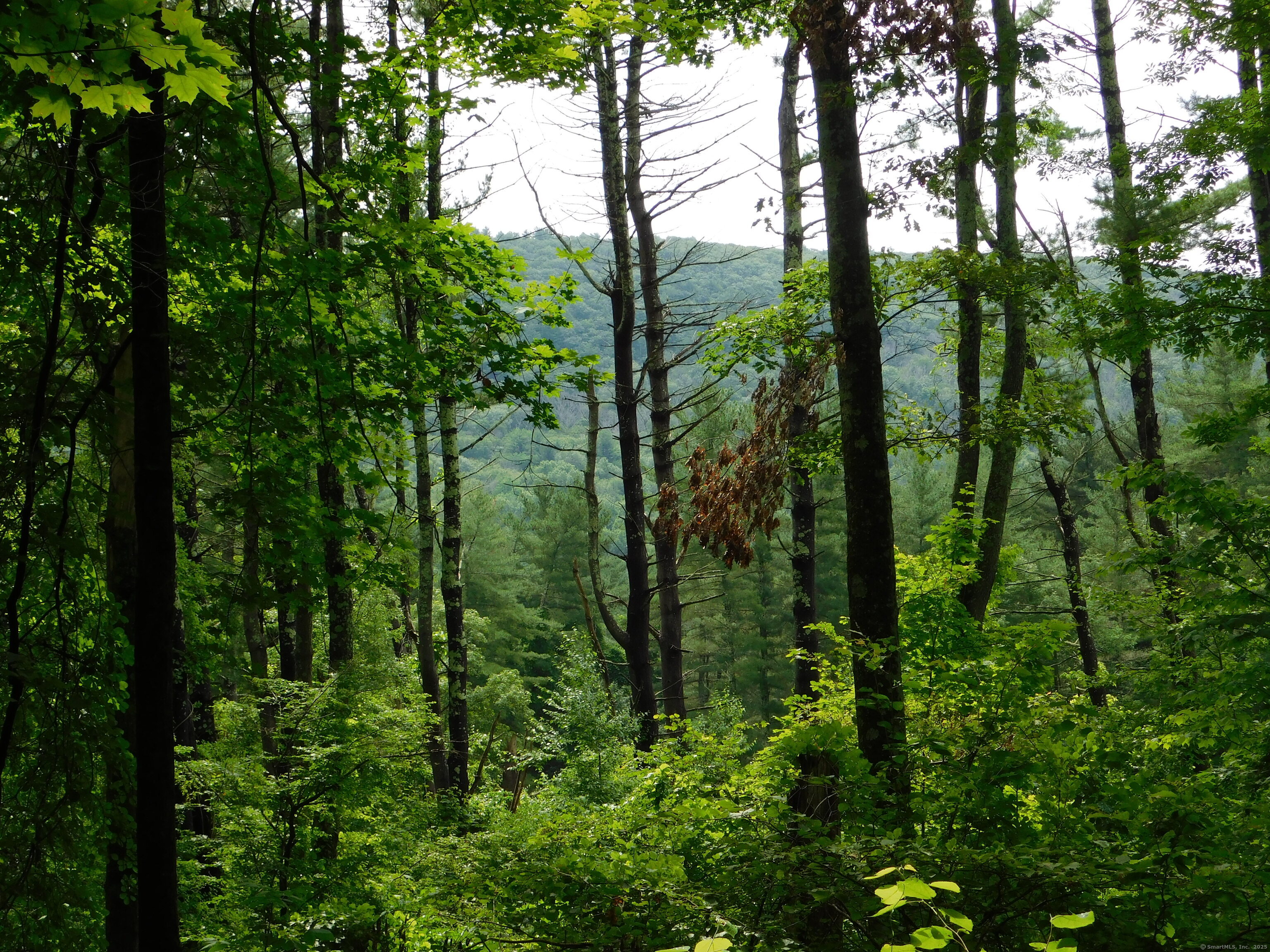 163 White Hollow Road