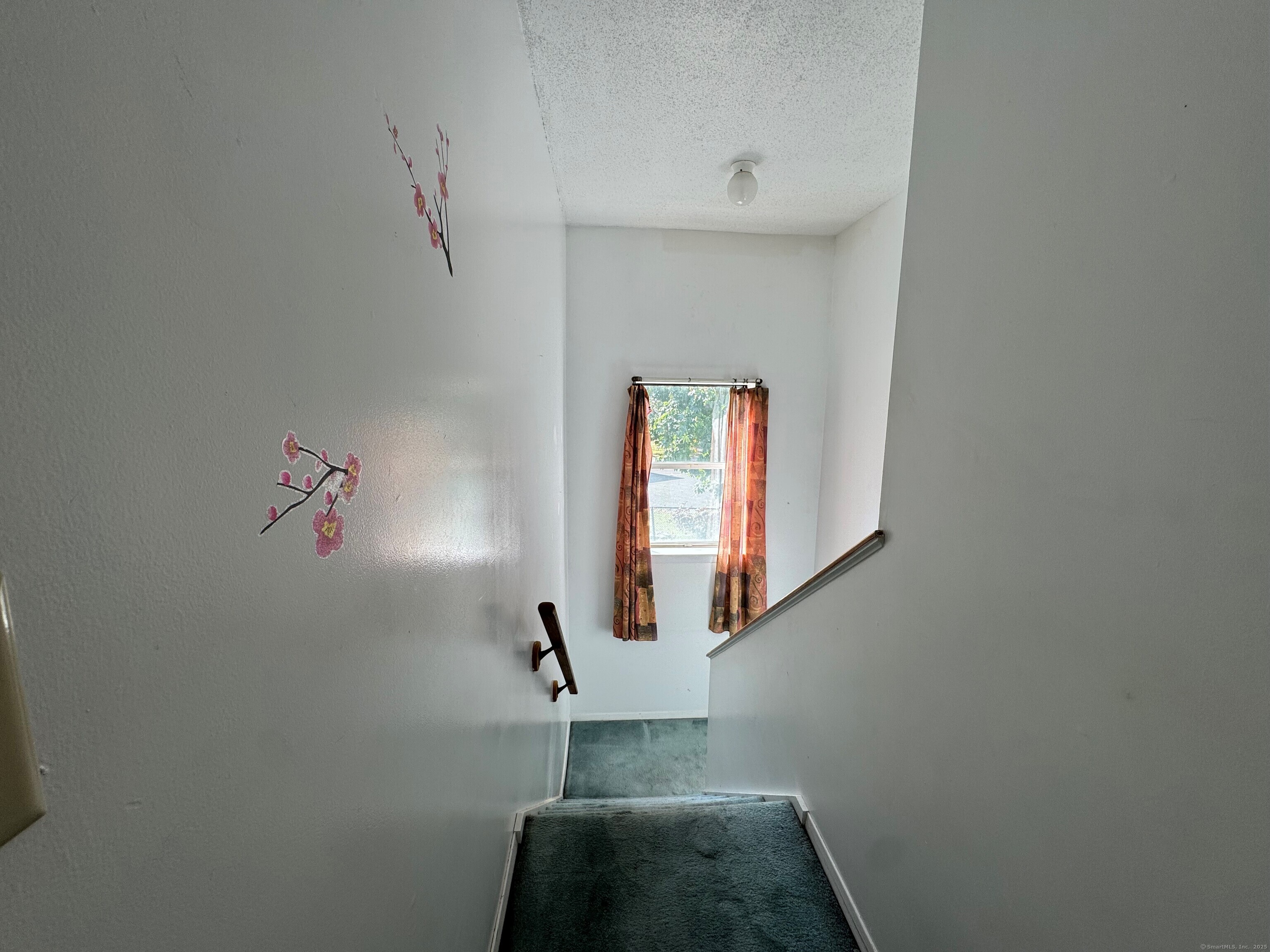 418 Woodward Avenue #APT 26, New Haven, Connecticut image 5