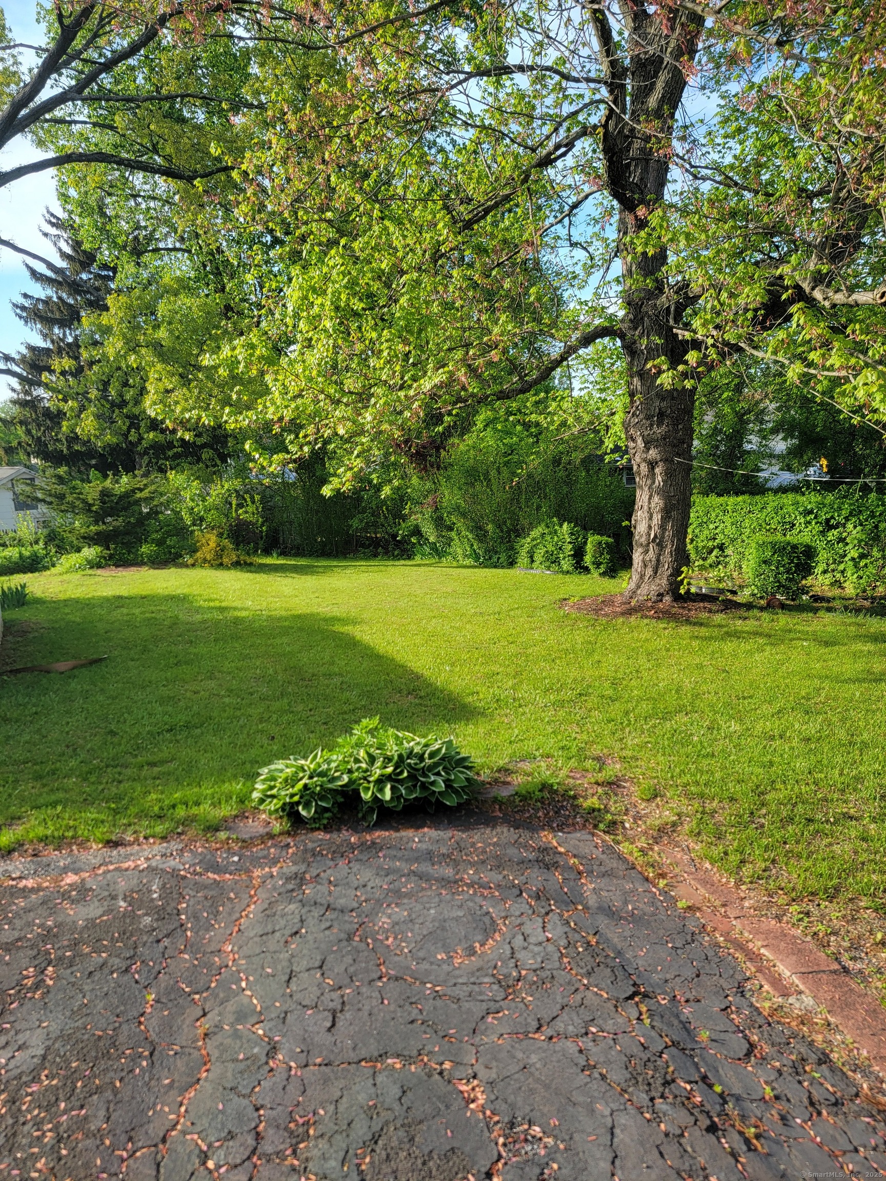 438 Smith Avenue, New Haven, Connecticut image 25