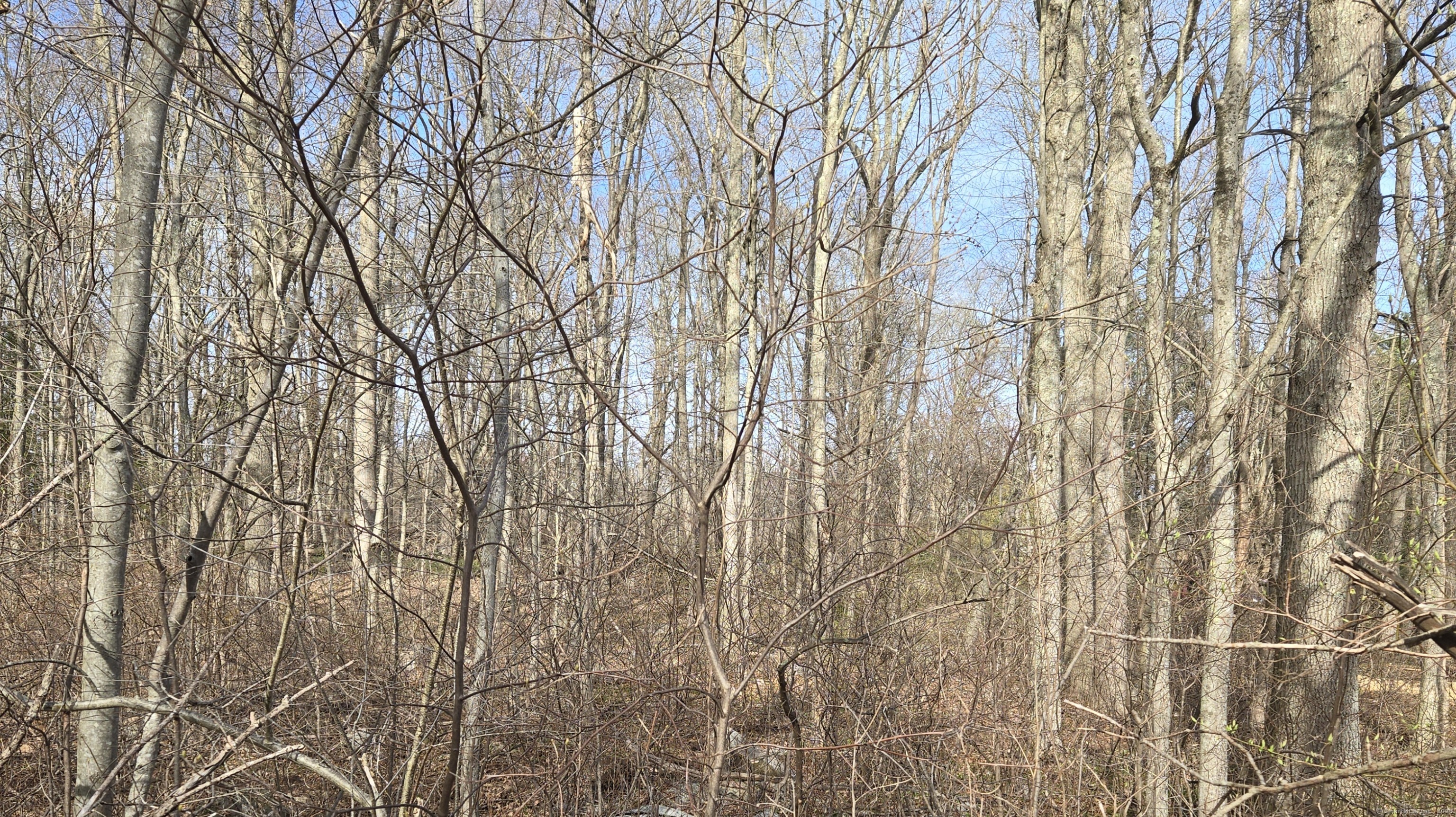 00 Mount Parnassus Road, East Haddam, Connecticut image 3