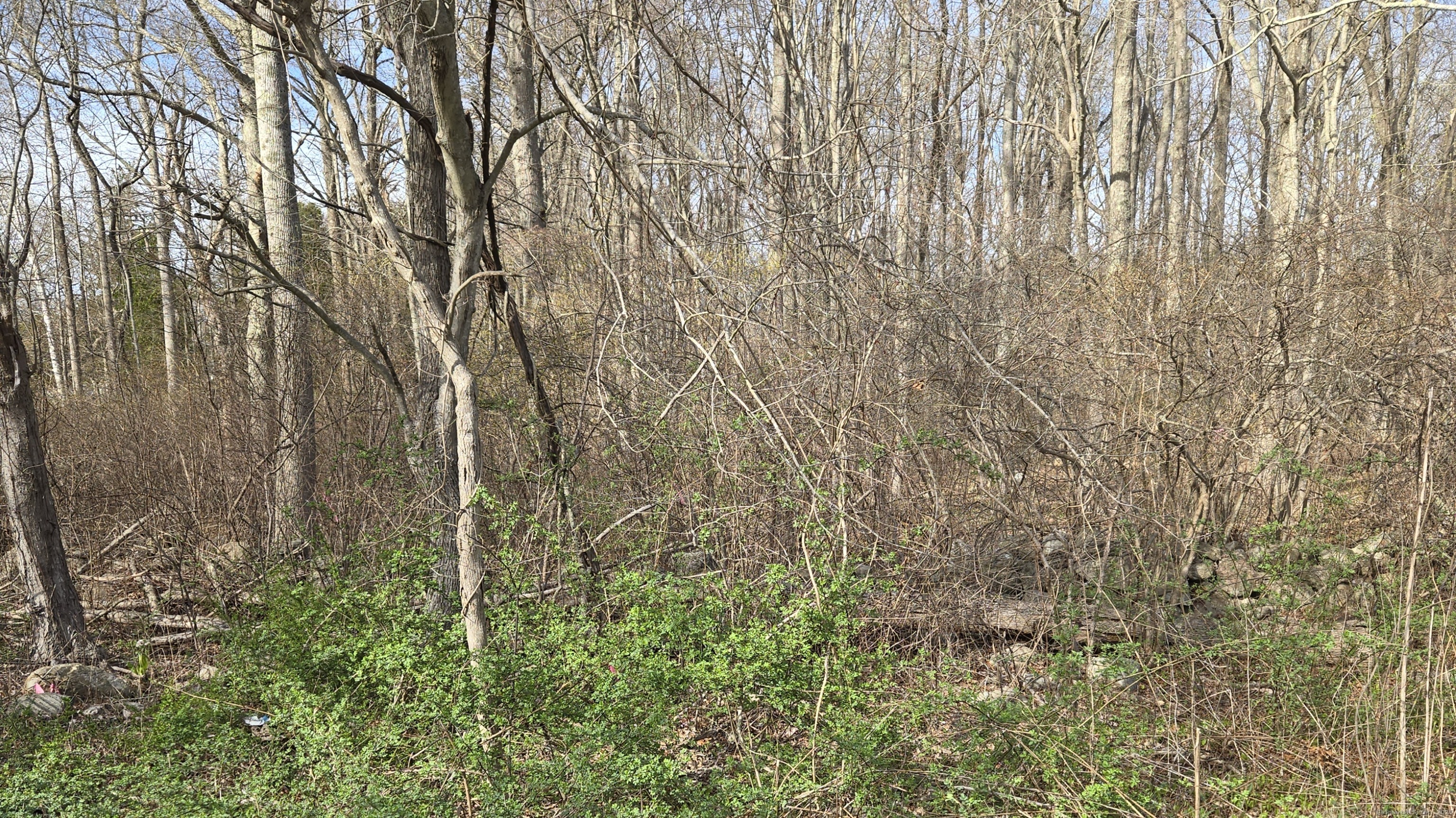 00 Mount Parnassus Road, East Haddam, Connecticut image 5