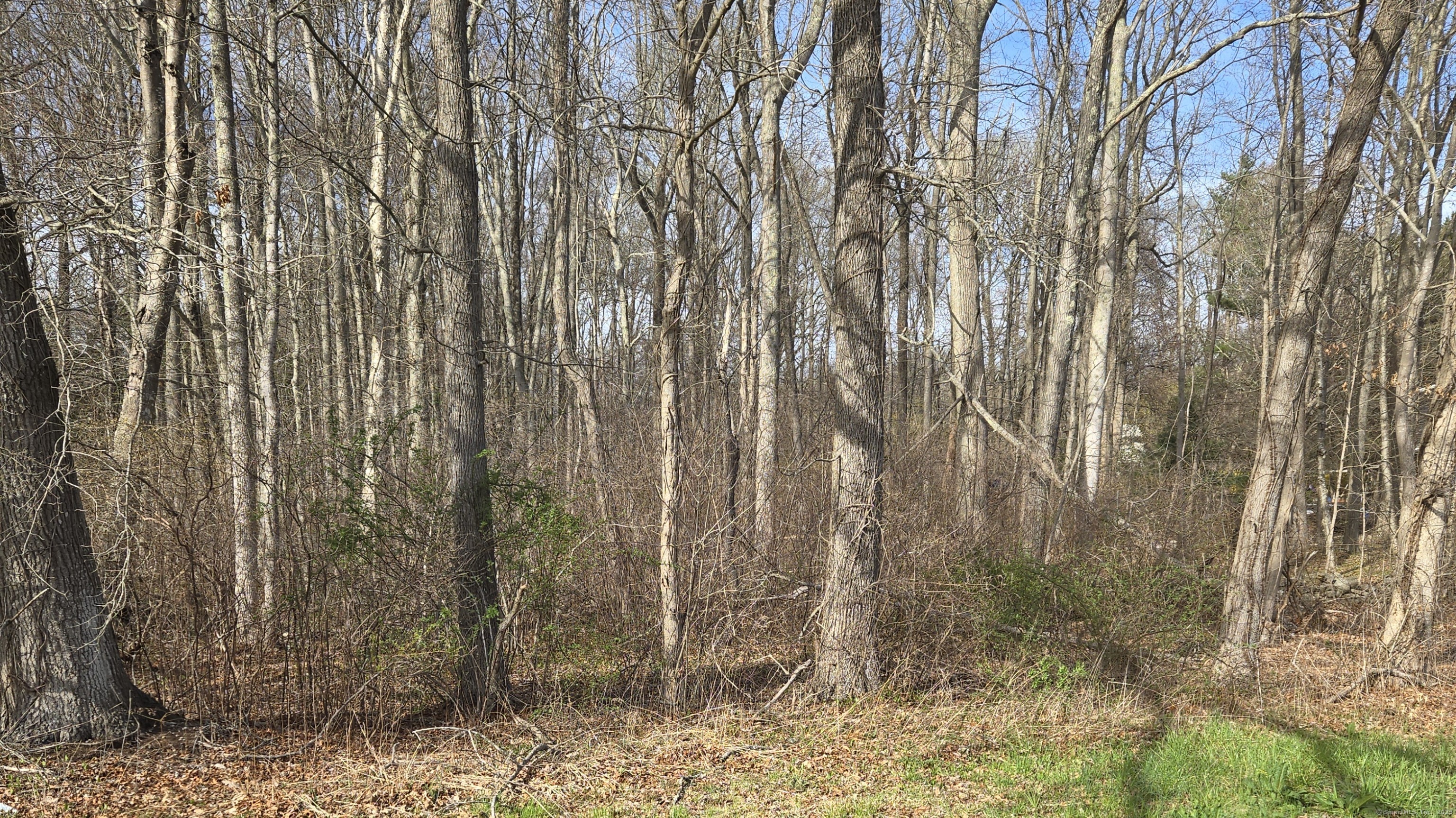 00 Mount Parnassus Road, East Haddam, Connecticut image 2