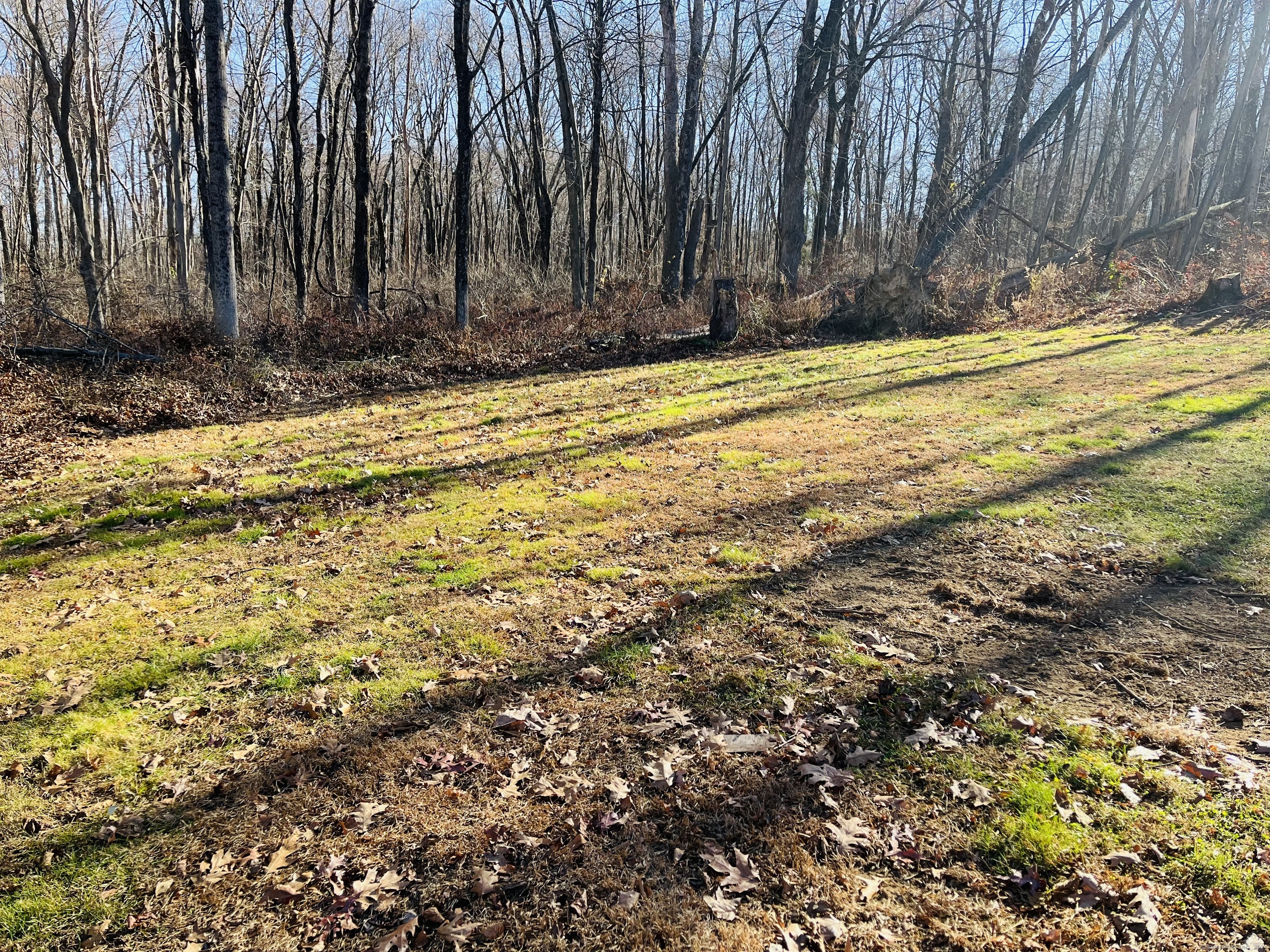37 Oakcrest Road, Oxford, Connecticut image 27