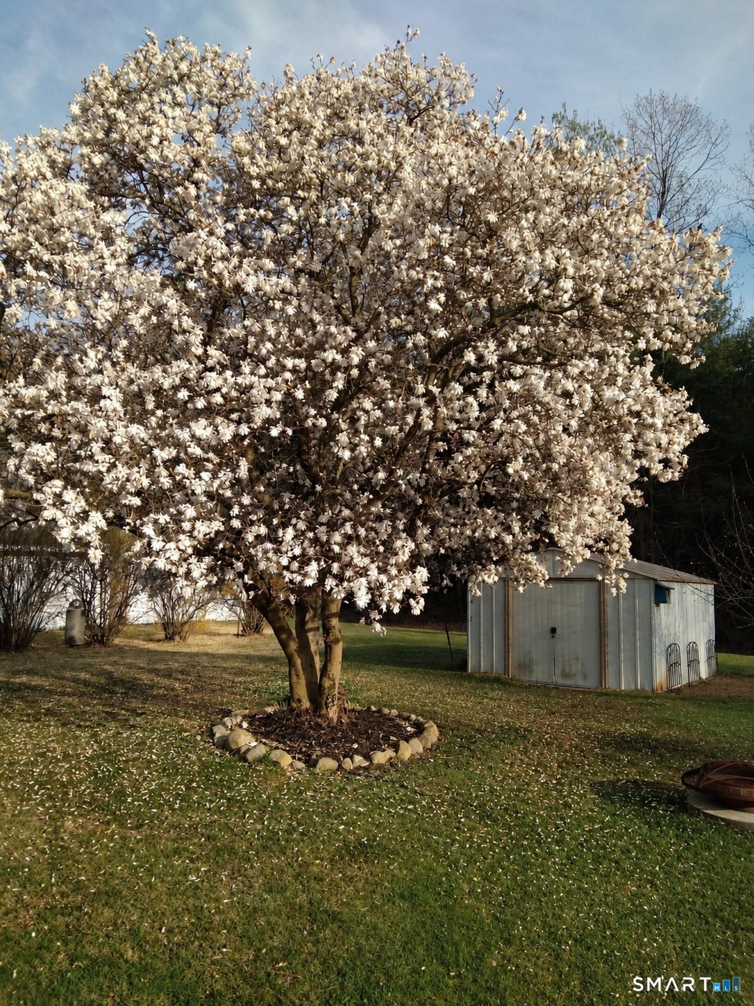 32 Breezy Lane