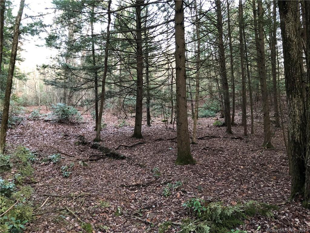 65 Meyers Road, Plymouth, Connecticut image 5