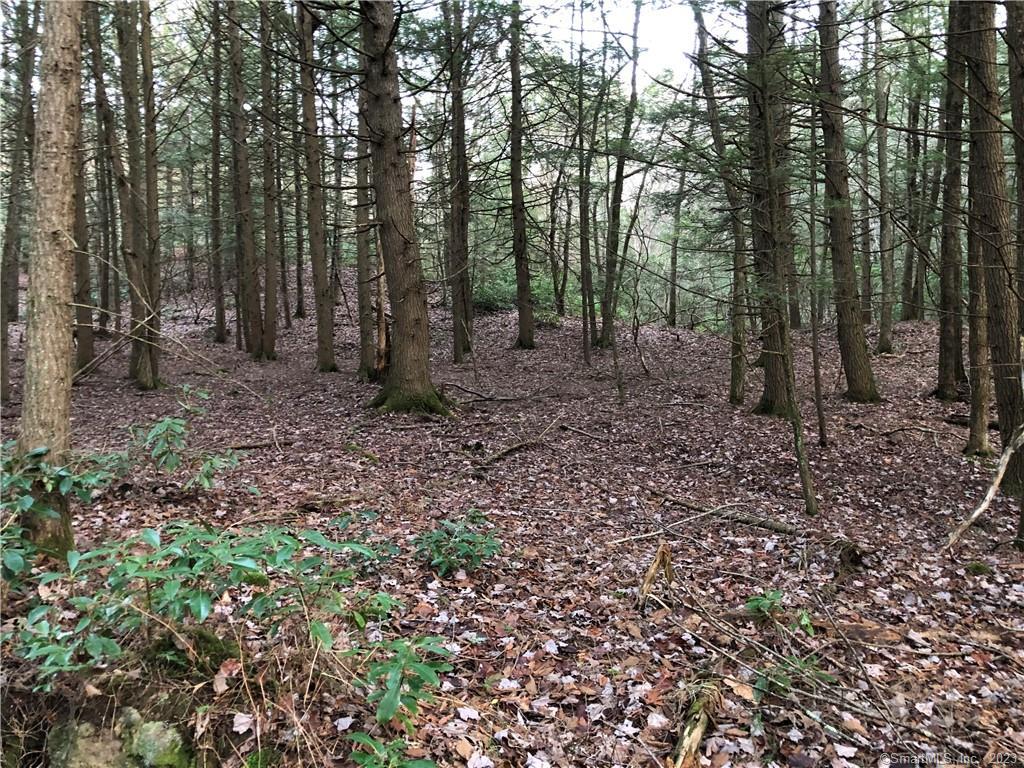 65 Meyers Road, Plymouth, Connecticut image 4