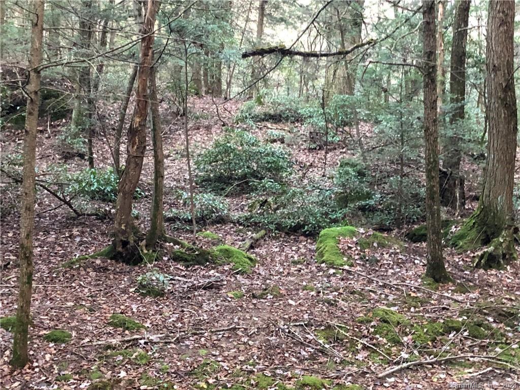 65 Meyers Road, Plymouth, Connecticut image 2