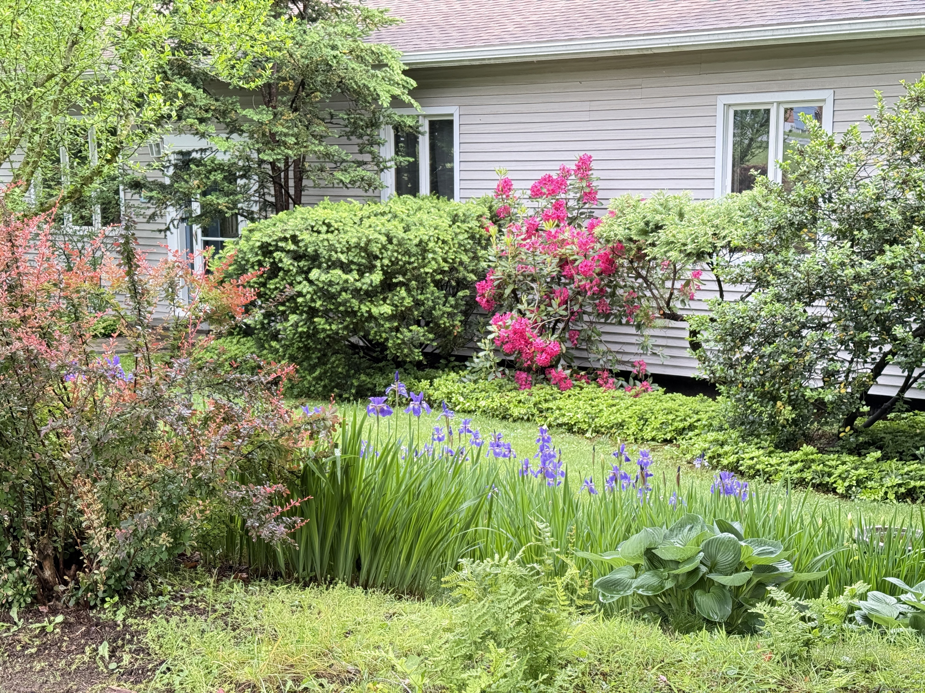 17 Edgecomb Street, Hamden, Connecticut image 4