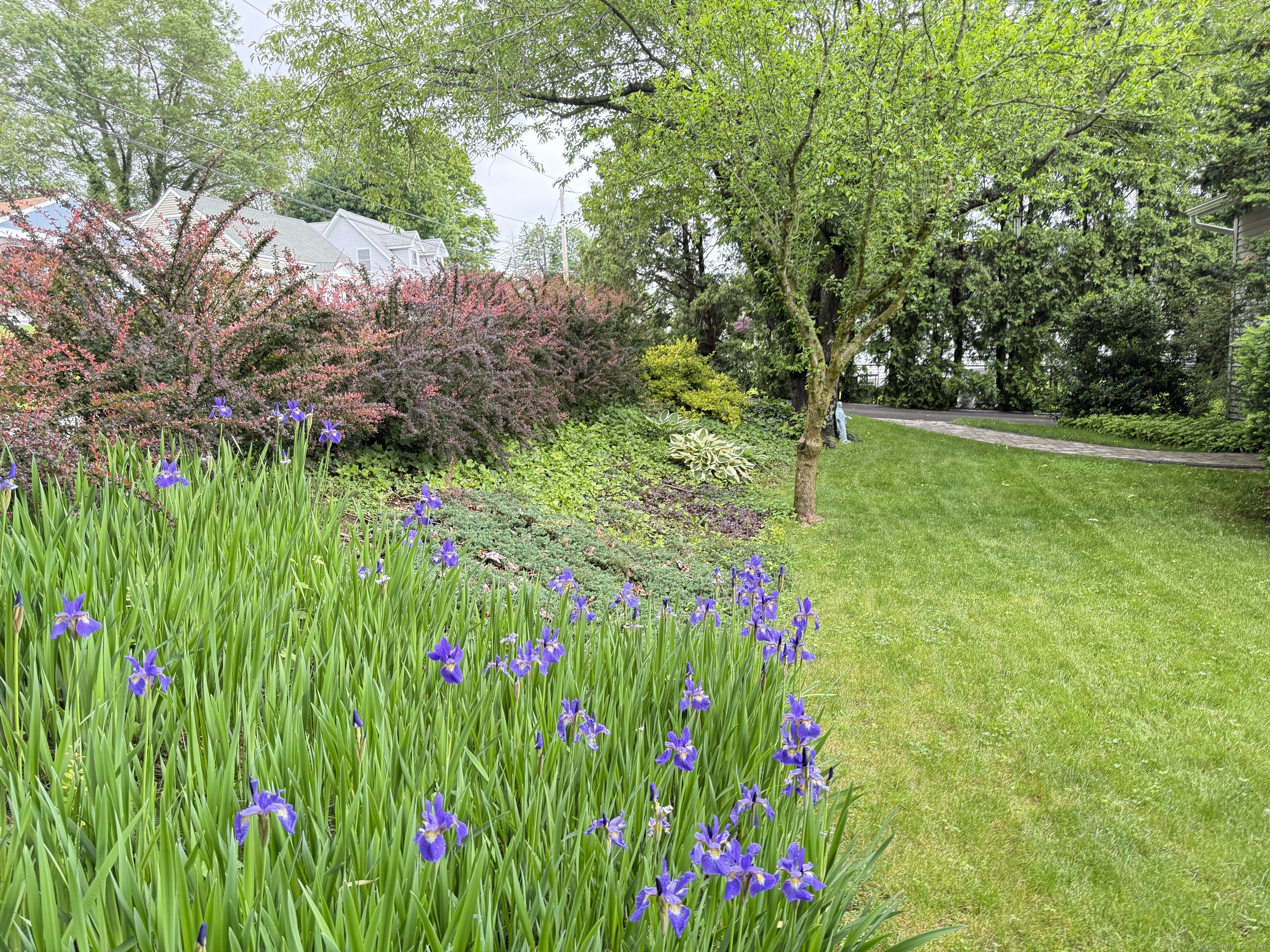 17 Edgecomb Street, Hamden, Connecticut image 28