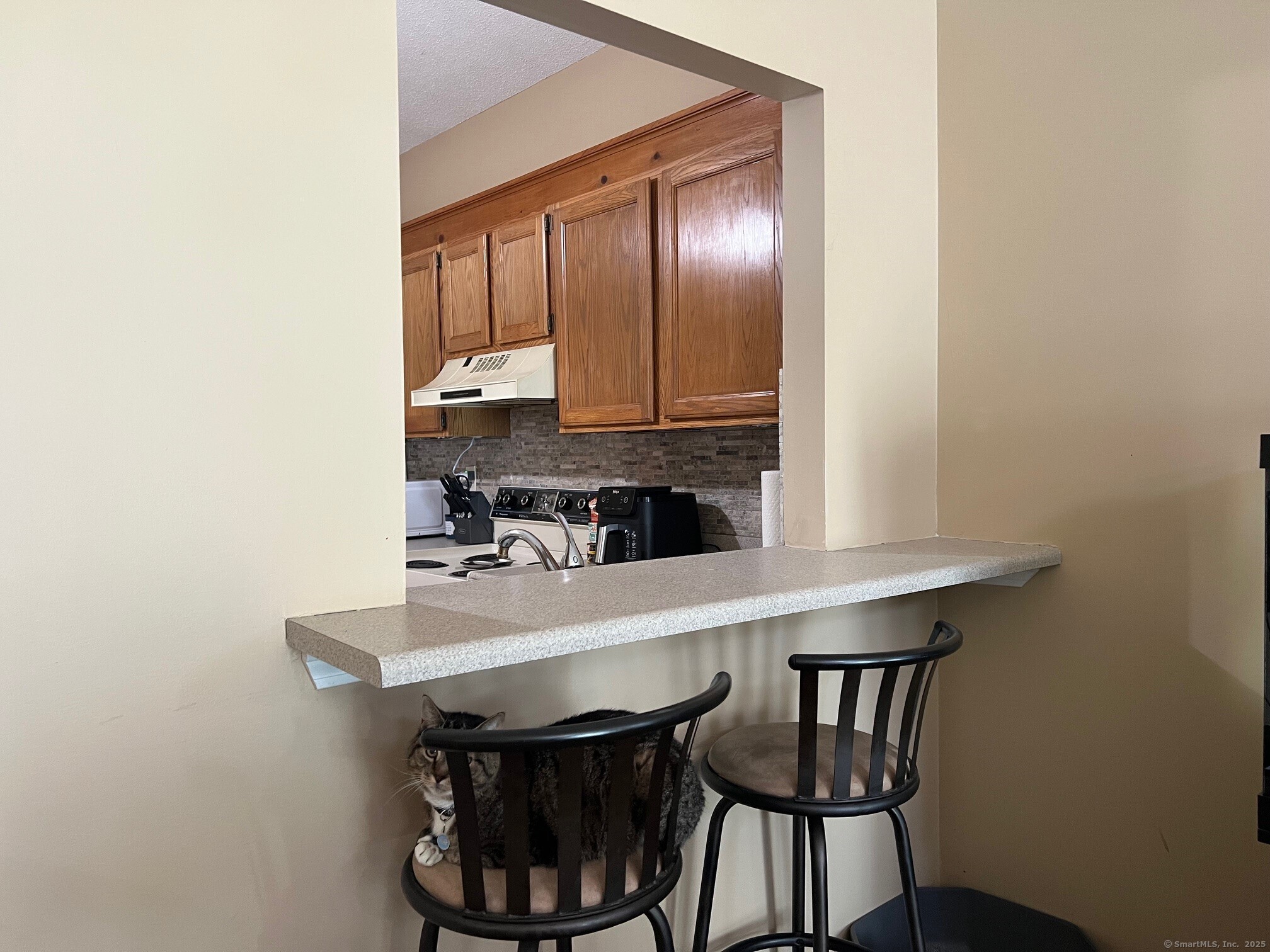 699 S Main Street #APT 218, Torrington, Connecticut image 11