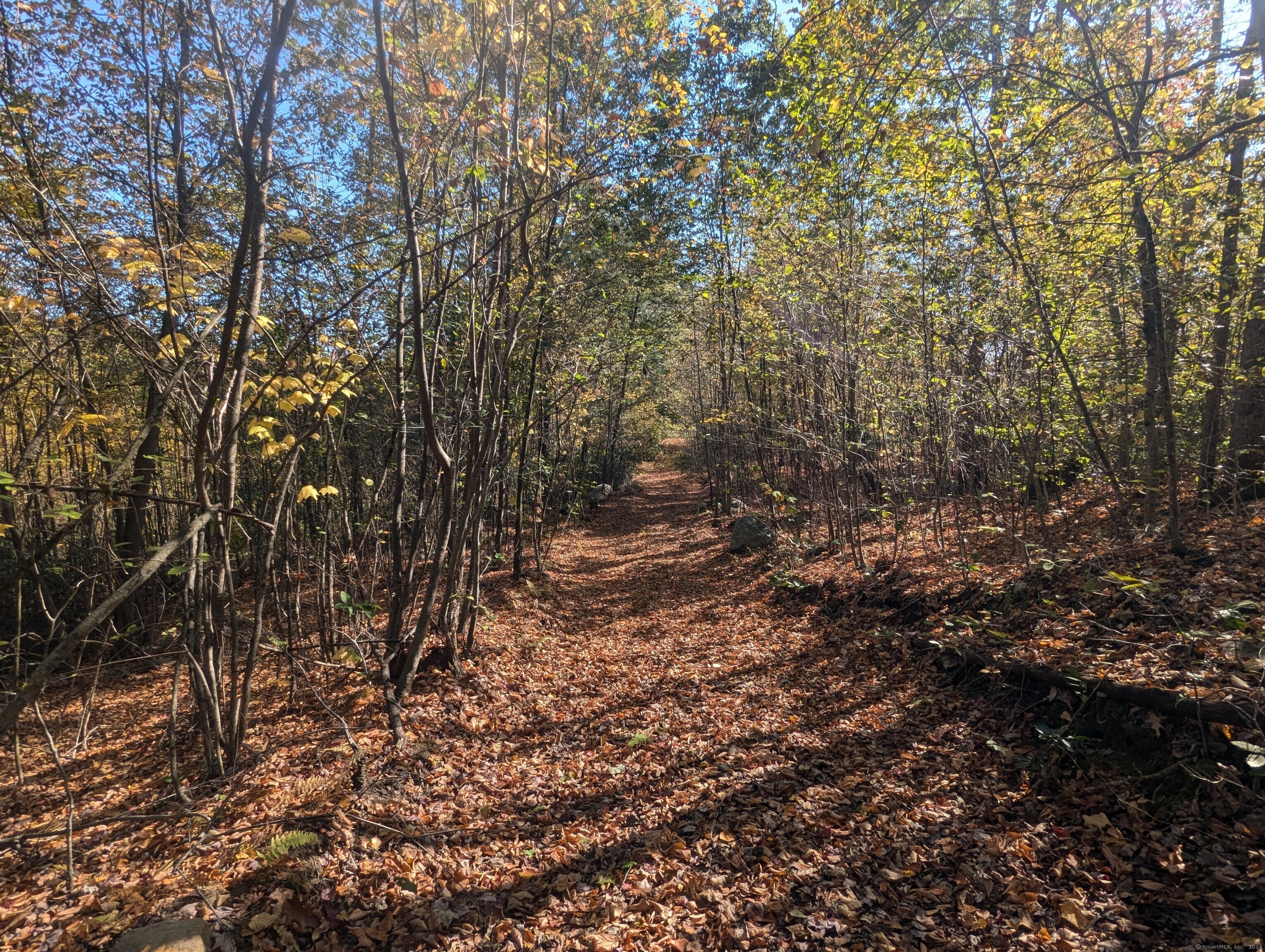 13 Dew Road, Barkhamsted, Connecticut image 7