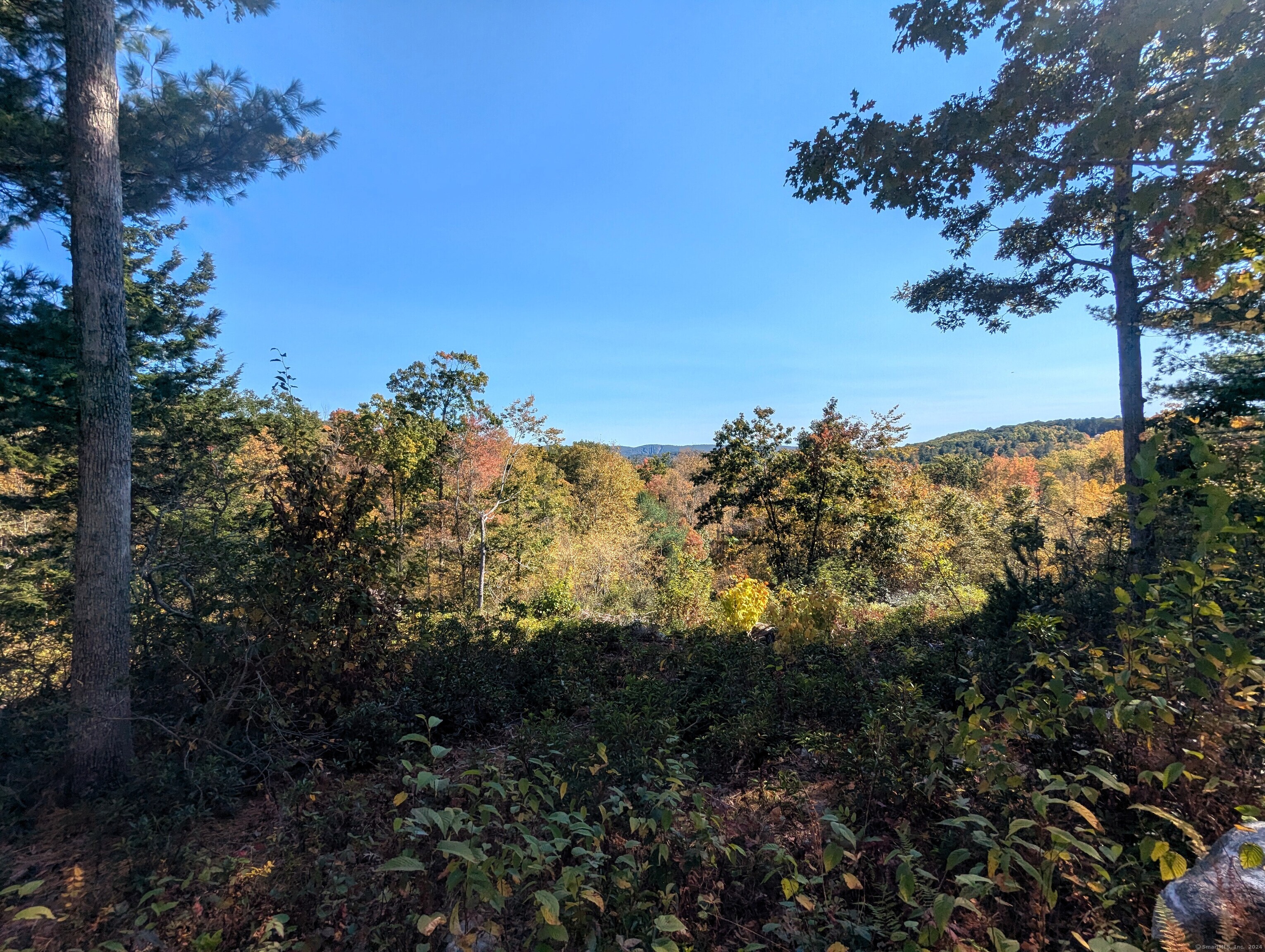 13 Dew Road, Barkhamsted, Connecticut image 5