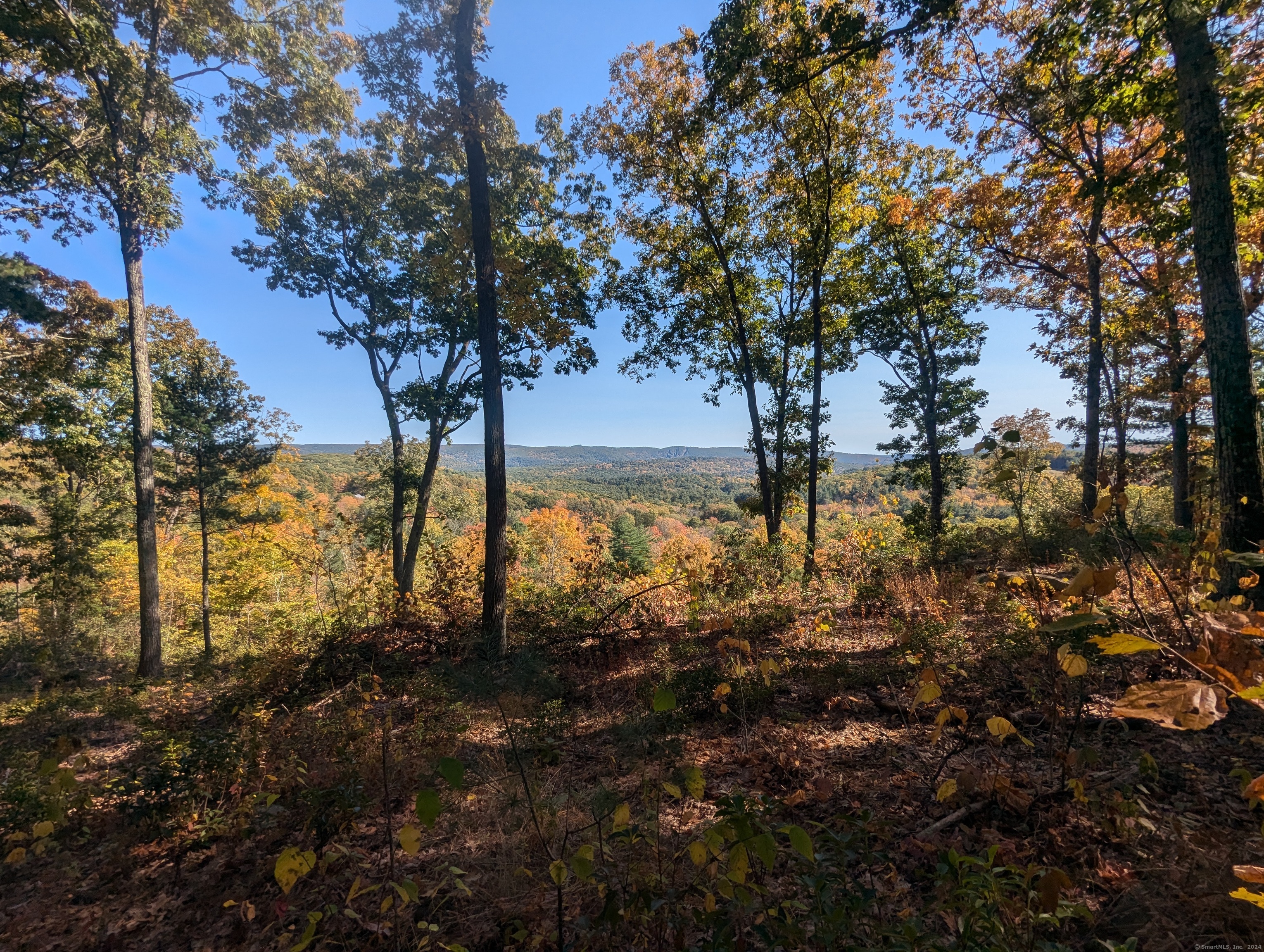 13 Dew Road, Barkhamsted, Connecticut image 4