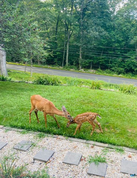 Tiny photo for 237 Chestnut Hill Road, Killingworth, CT 06419 (MLS # 24146630)