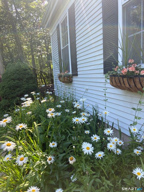 Tiny photo for 237 Chestnut Hill Road, Killingworth, CT 06419 (MLS # 24146630)