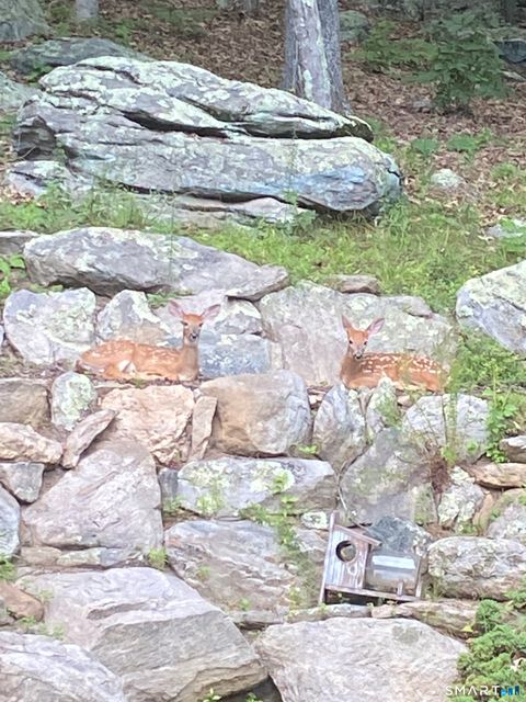 Tiny photo for 237 Chestnut Hill Road, Killingworth, CT 06419 (MLS # 24146630)