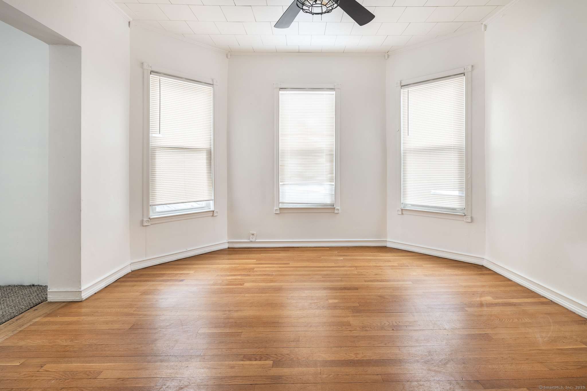 115 Whitney Avenue, Bridgeport, Connecticut image 8