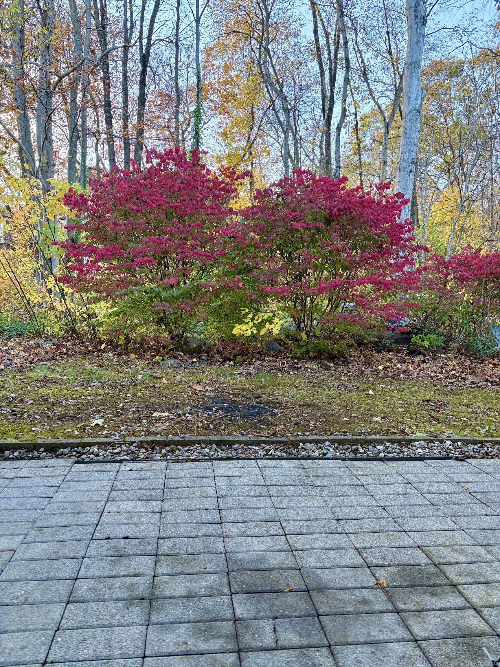 292 Meridian Street APT C