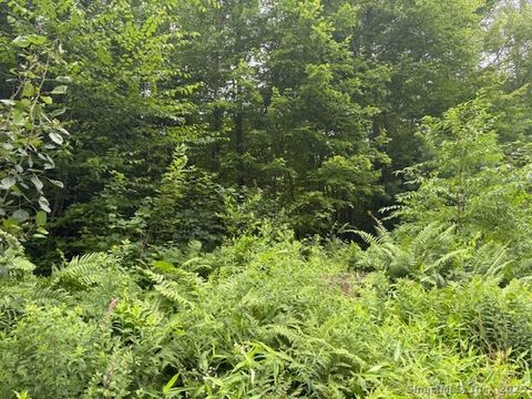 1040 Main Street Somers CT 06071