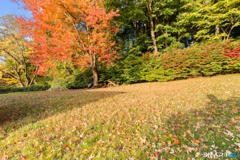 Tiny photo for Wallingford, CT 06492 (MLS # 24216307)