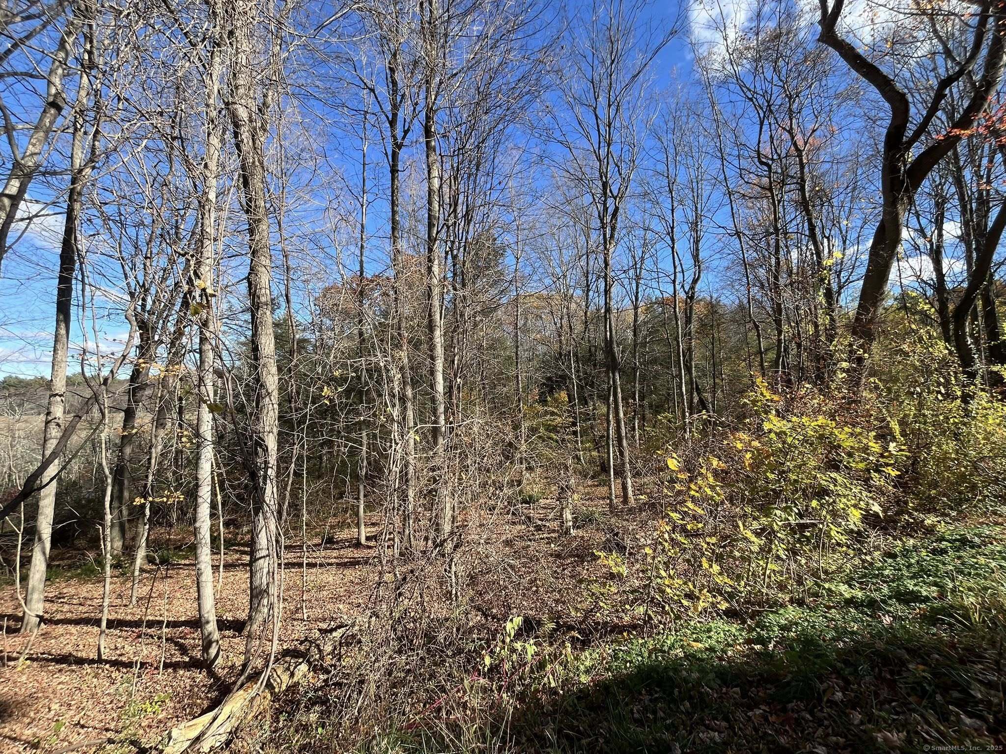 200 W. West Hill Rd Road