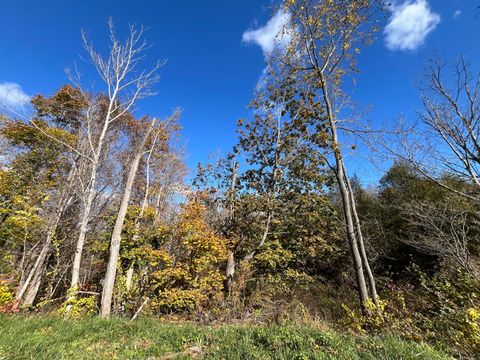 Tiny photo for 200 W. West Hill Rd Road, Barkhamsted, CT 06063 (MLS # 24136430)