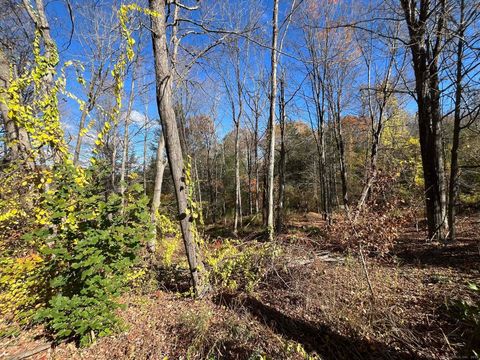 Tiny photo for 200 W. West Hill Rd Road, Barkhamsted, CT 06063 (MLS # 24136430)