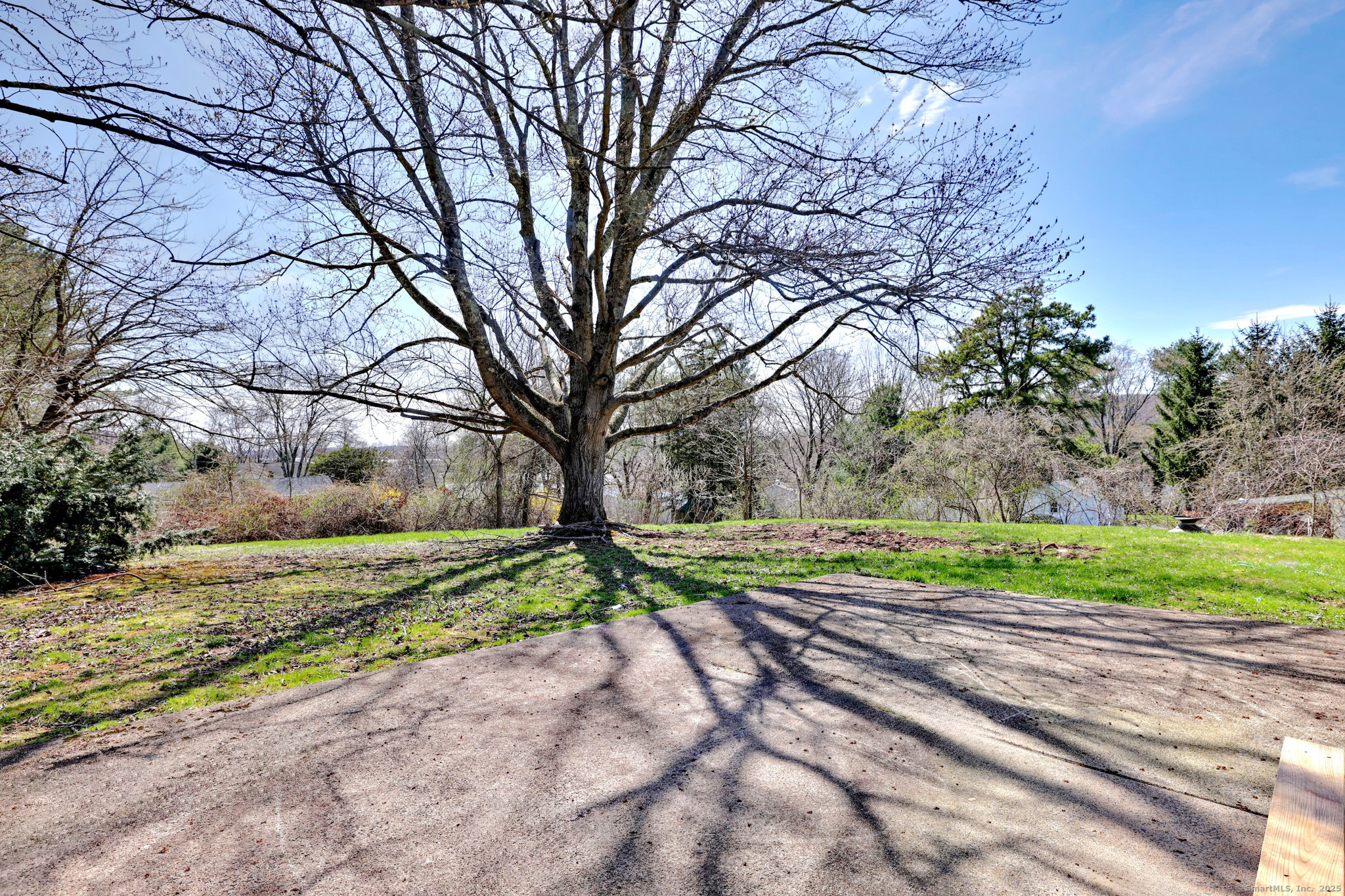 19 Miller Road, North Branford, Connecticut image 35