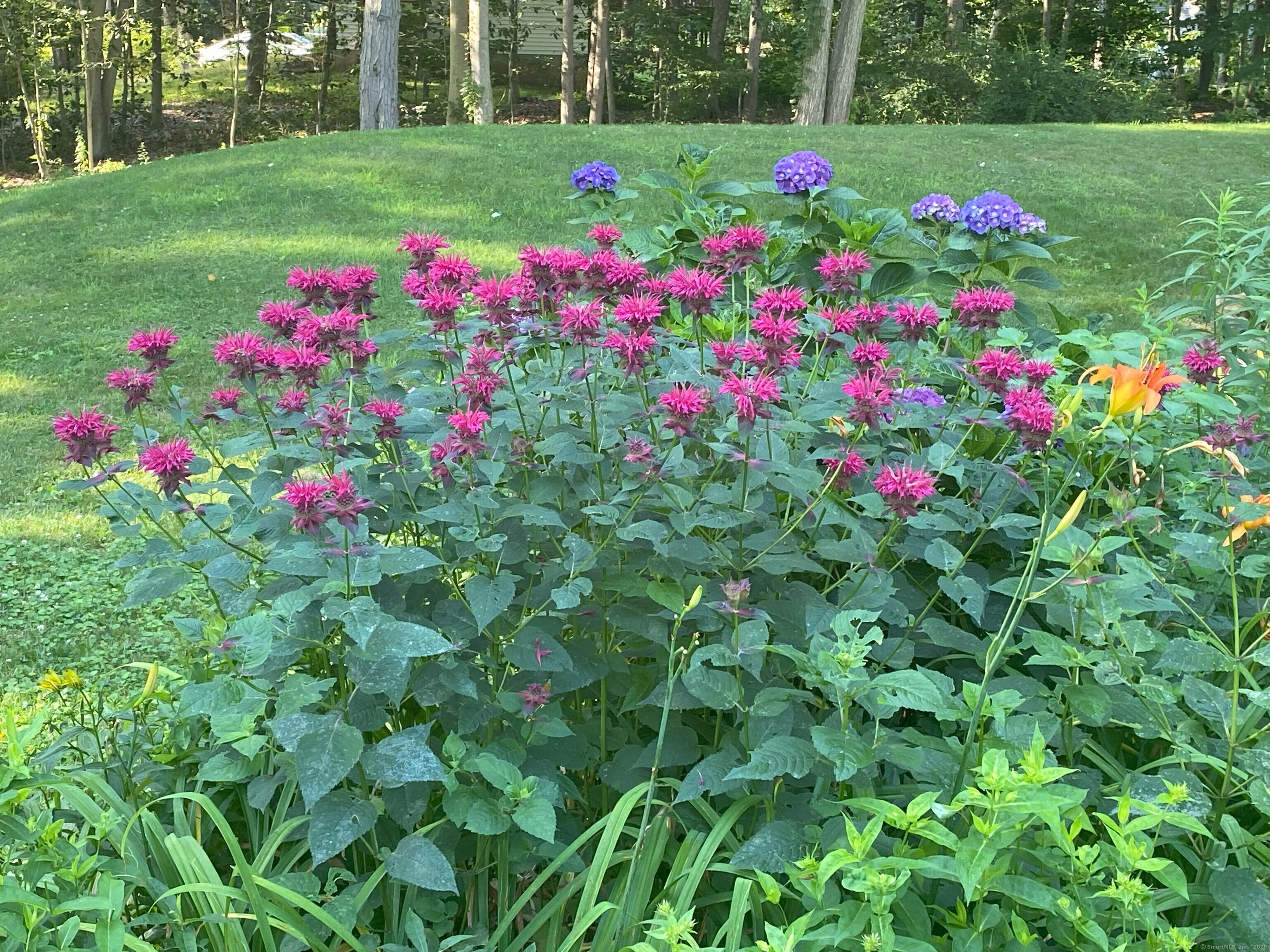 145 Stepstone Hill Road, Guilford, Connecticut image 30