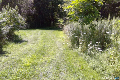 Tiny photo for 92 Pine Street, Columbia, CT 06237 (MLS # 24197089)
