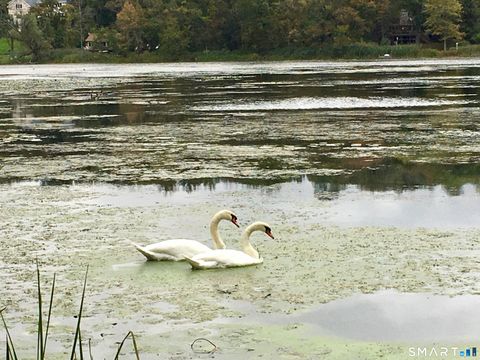 Tiny photo for 20 Rita Road, Ridgefield, CT 06877 (MLS # 24148221)