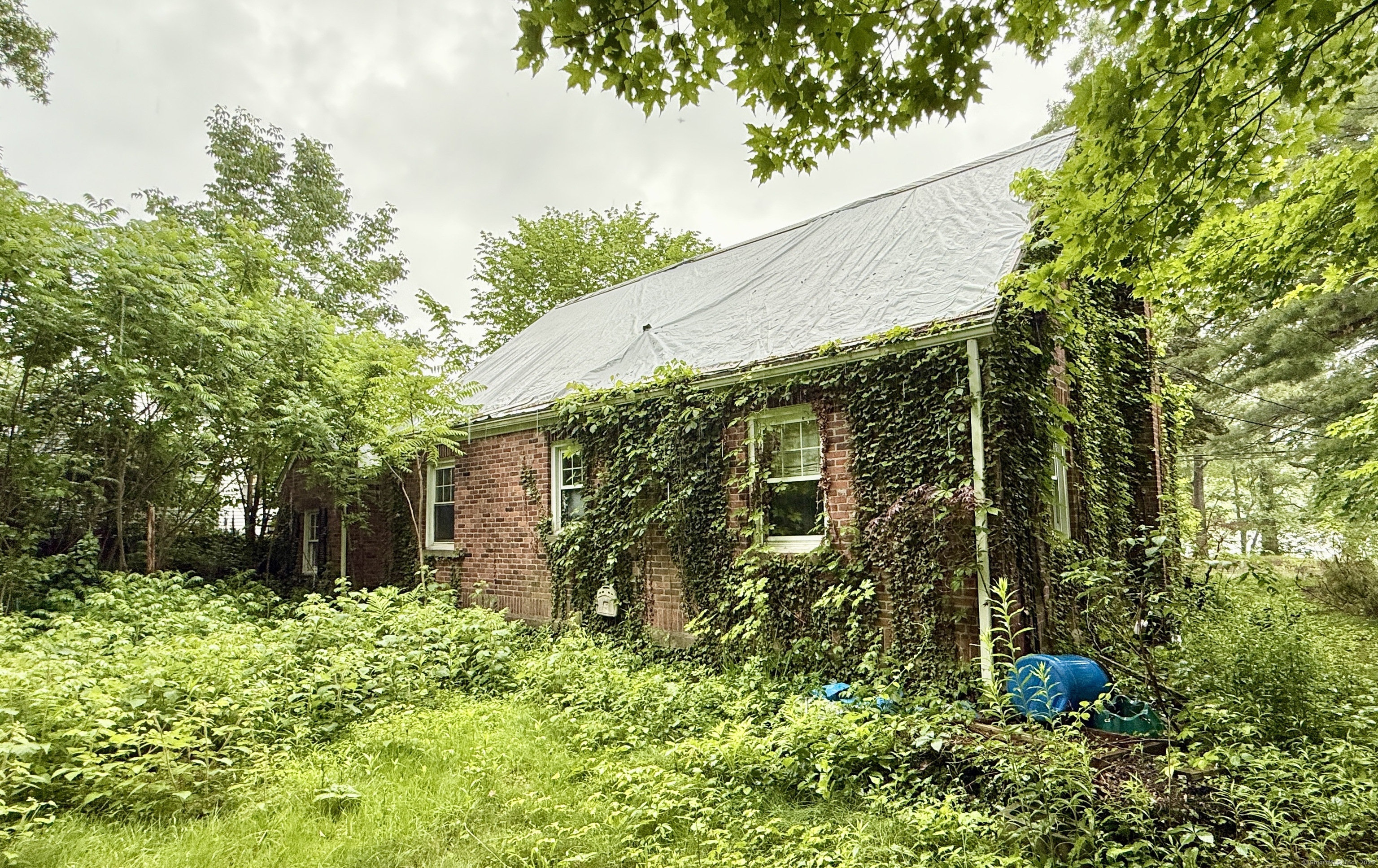 37 Thorpe Avenue