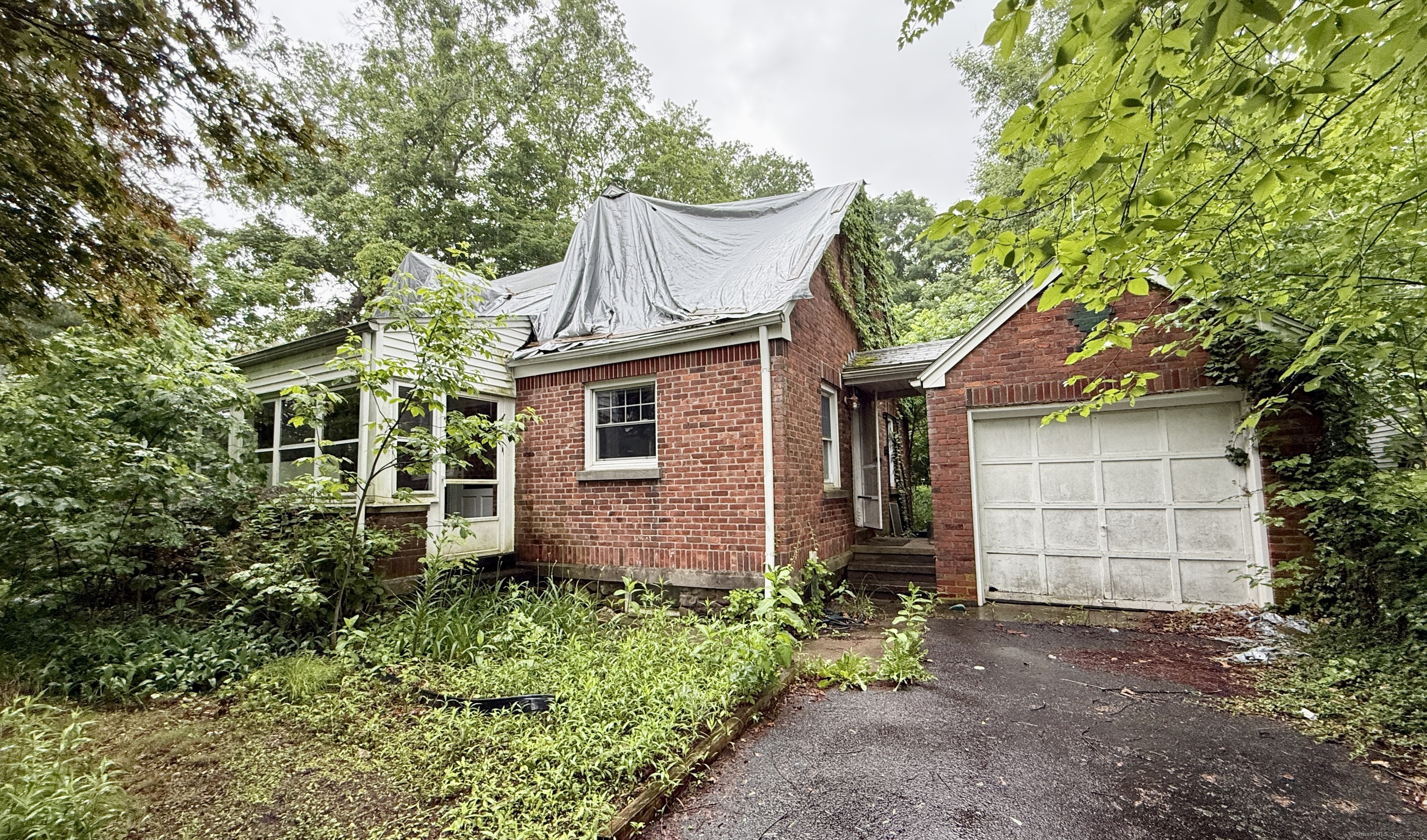 37 Thorpe Avenue