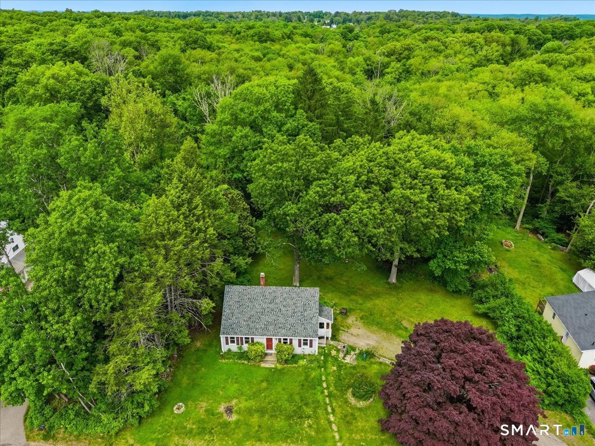 48 Maple Road