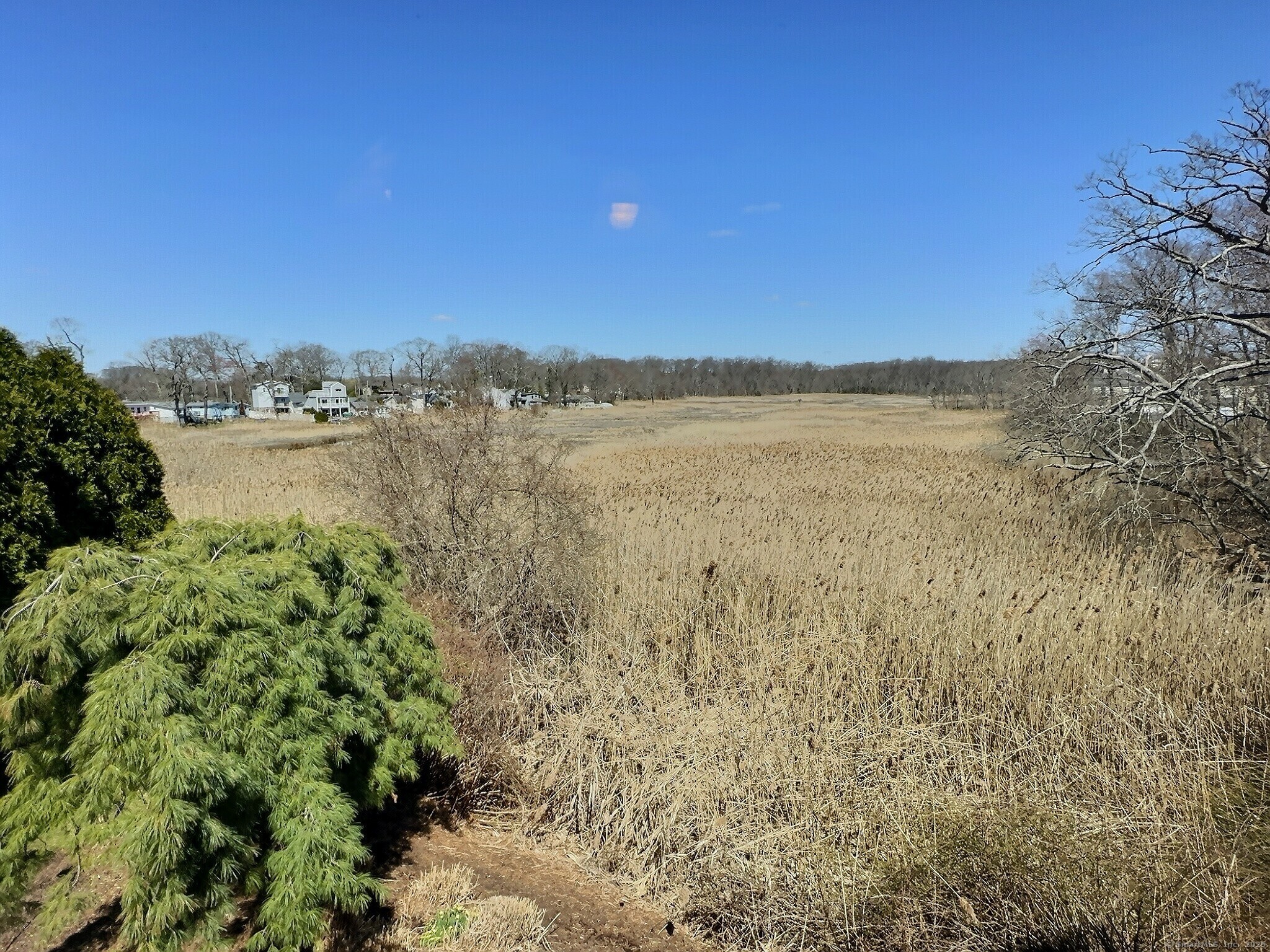 78 Limewood Avenue, Branford, Connecticut image 18
