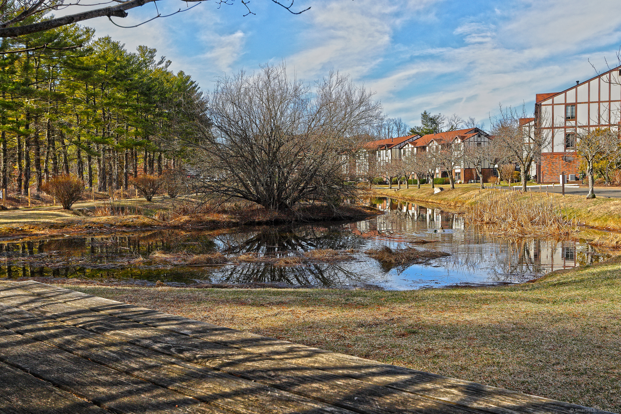 365 Mather Street #168, Hamden, Connecticut image 23