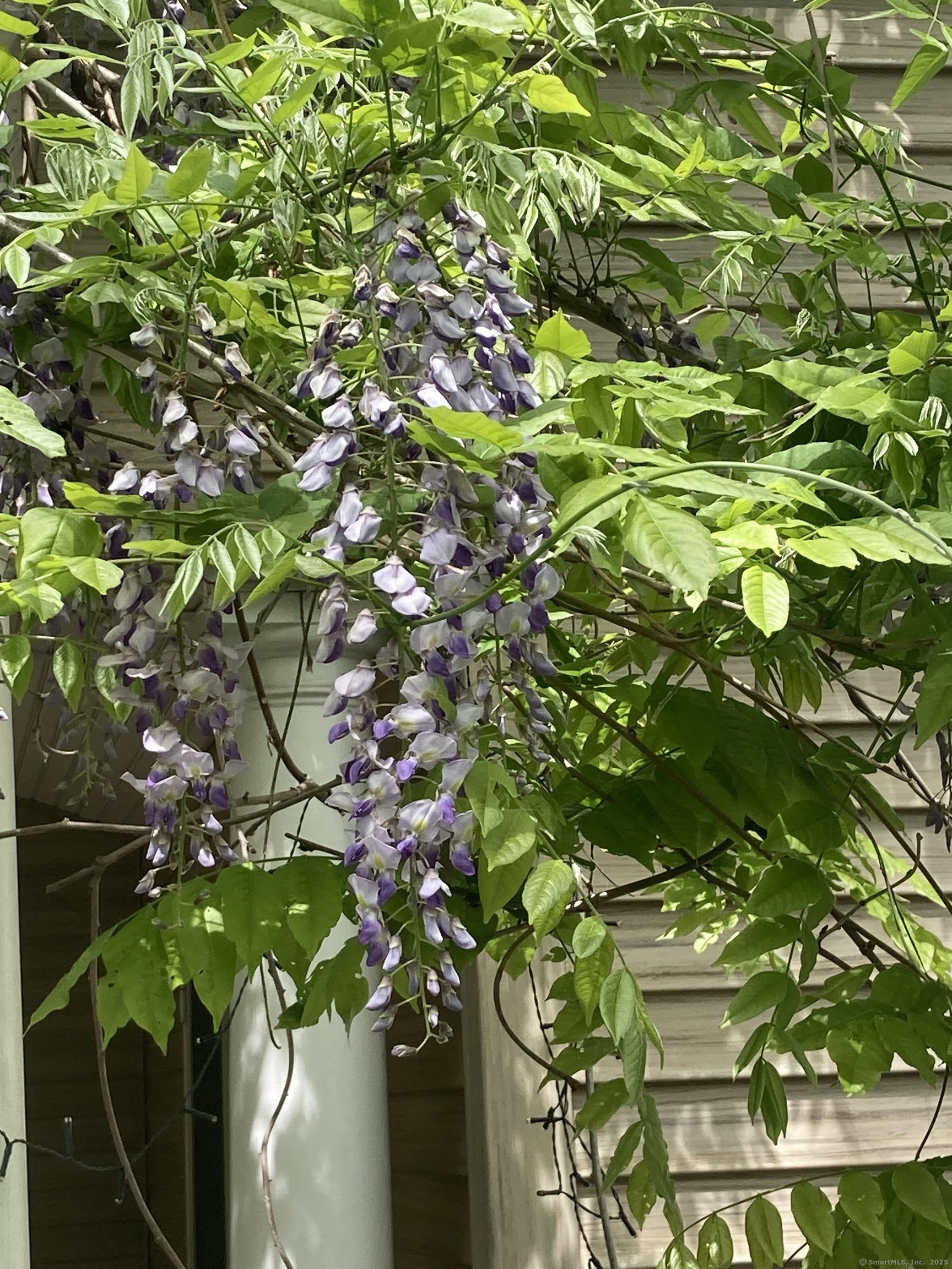 271 Charles Street, Torrington, Connecticut image 27